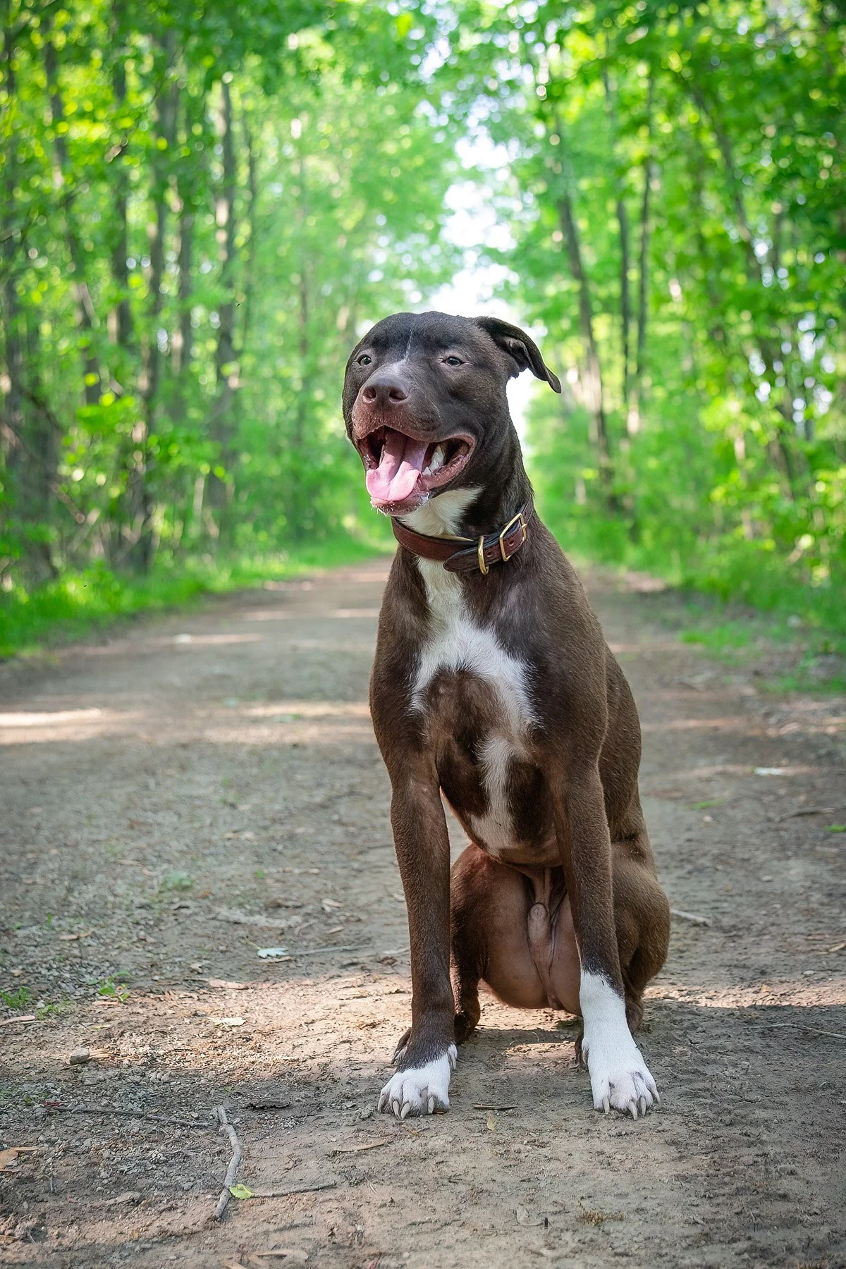 Midway through May with Moose