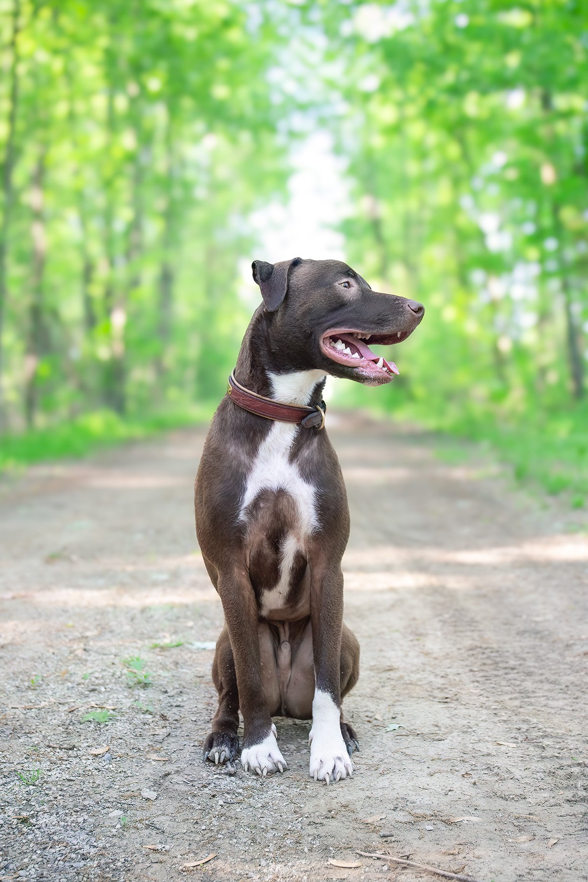 Midway through May with Moose