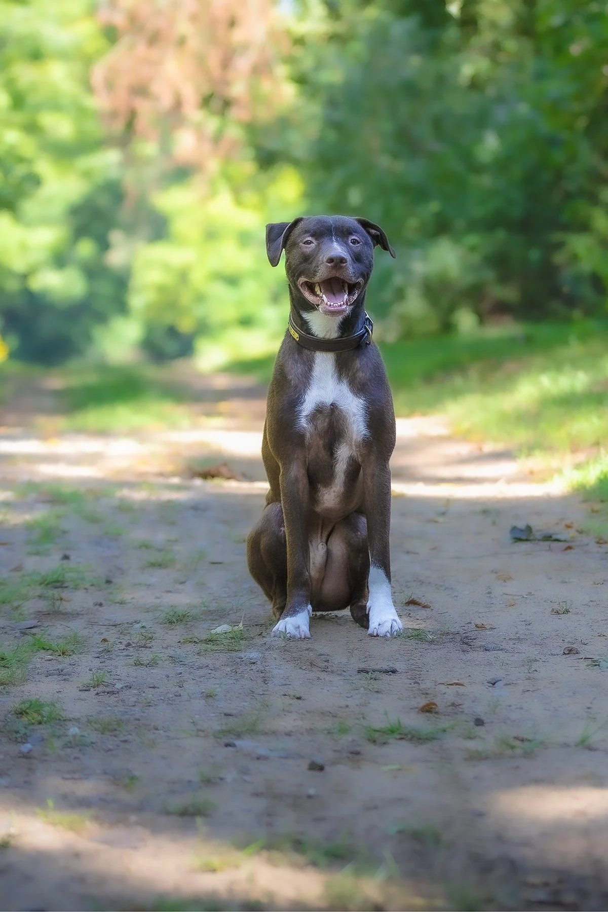 Camera Ready