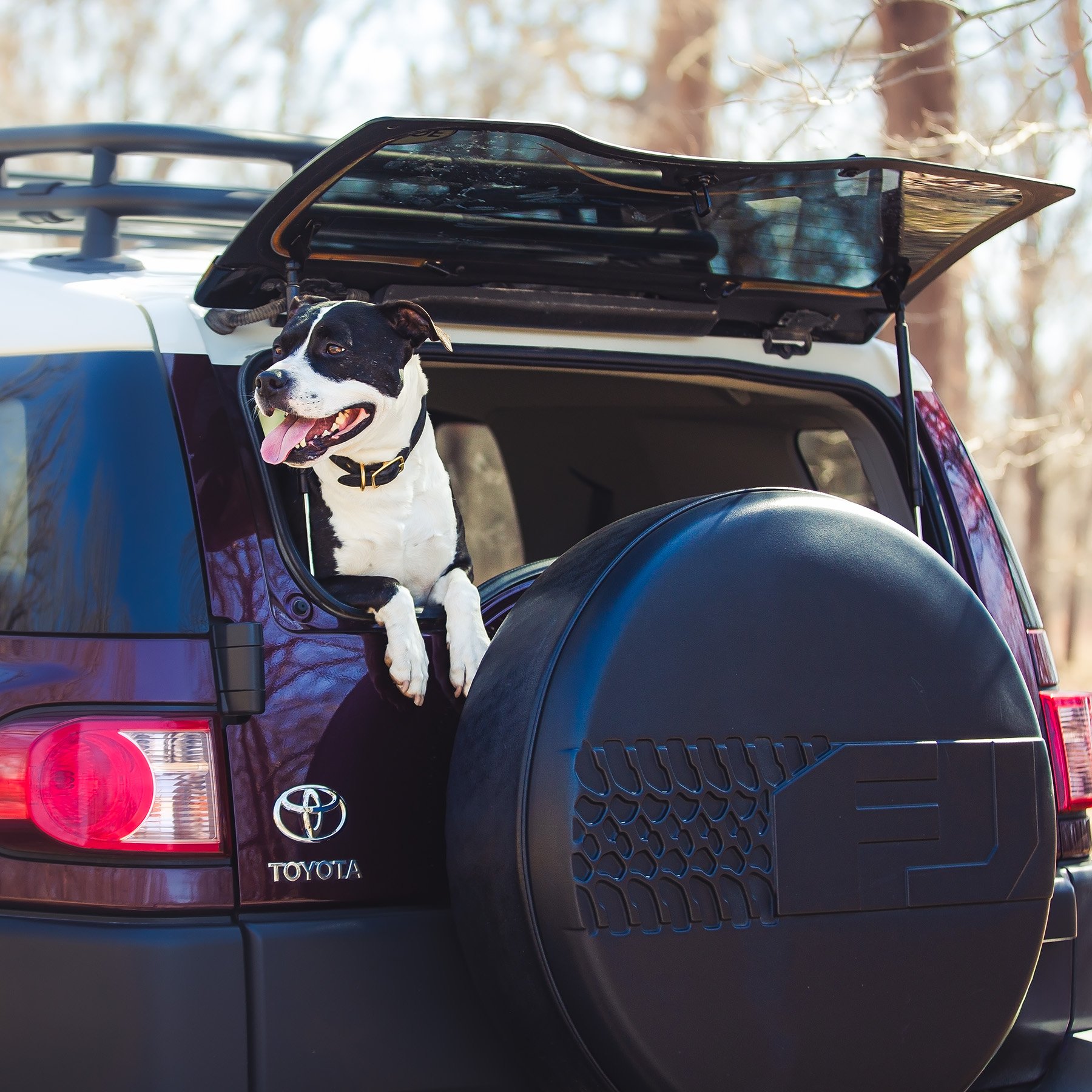 Celebration Ride with Ringo