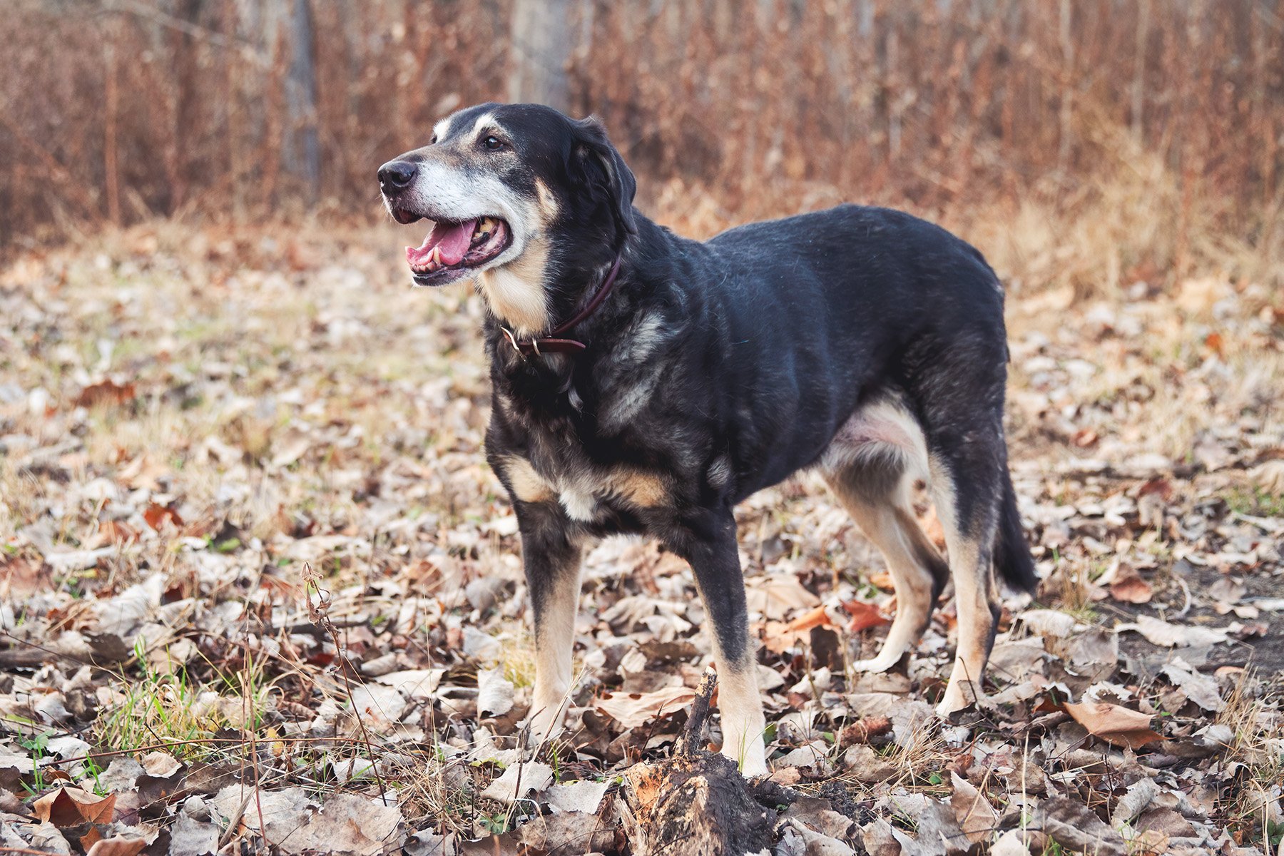 Webster-120114-6337-1.jpg