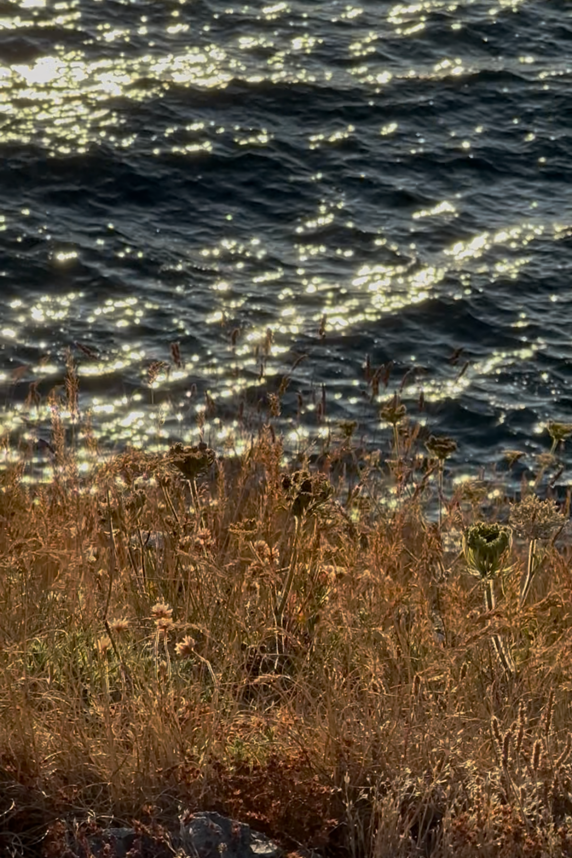IMG_0828.png