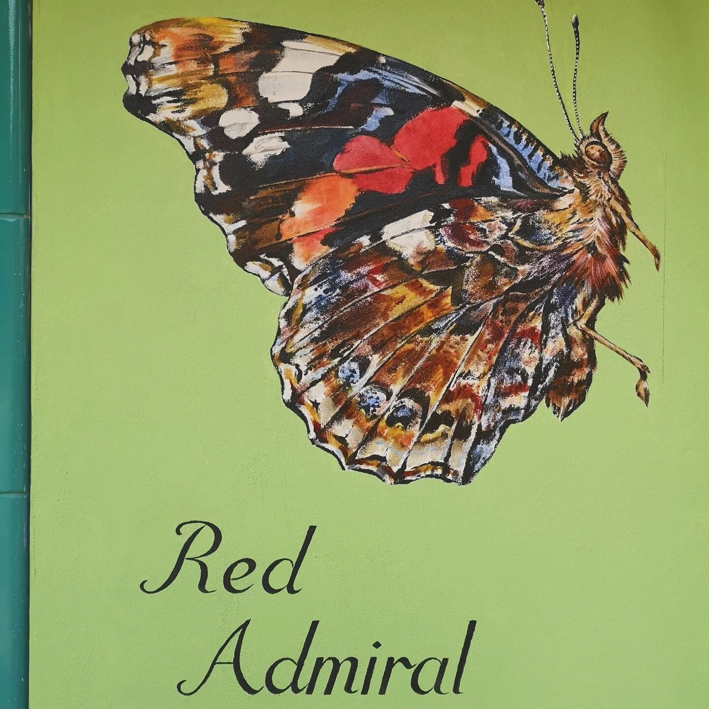 Red Admiral, part of a mural painted for the new playground at Old Oak Common Community and Children's Centre, beautifully designed and built by @bowleswyer last year. 

To attract red admirals, plant nectar-rich borders for them to feed along and cl