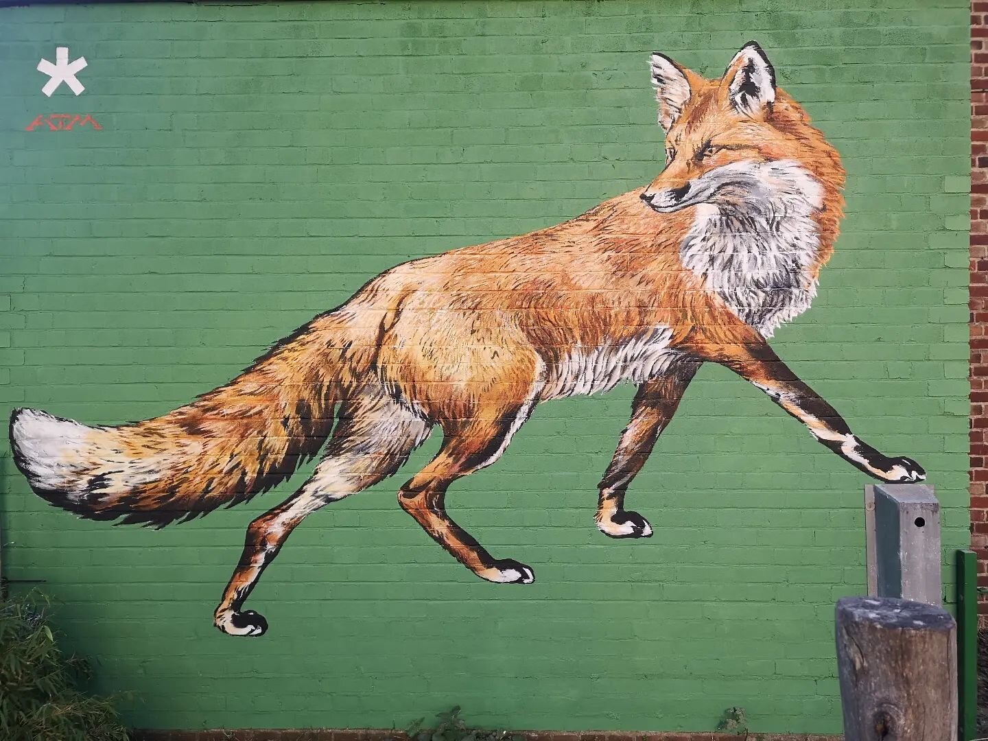 Fox painted for Morland Estate, Gayhurst Road, Hackney E8

Foxes are very popular around here, a bit of the wild coming into the city, which is appreciated and valued by so many people.
Fox was the overwhelming favourite subject voted for by the loca