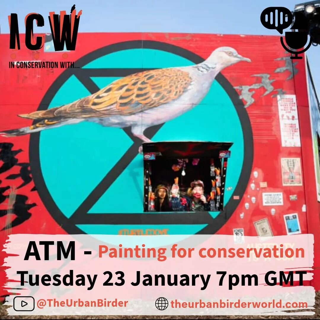 I'm really looking forward to this conversation with the incomparable David Lindo @theurbanbirder for @inconservationwith about the power of street art and how it can help the drive for conservation of our precious ecosystems.

Tuesday 23rd January a