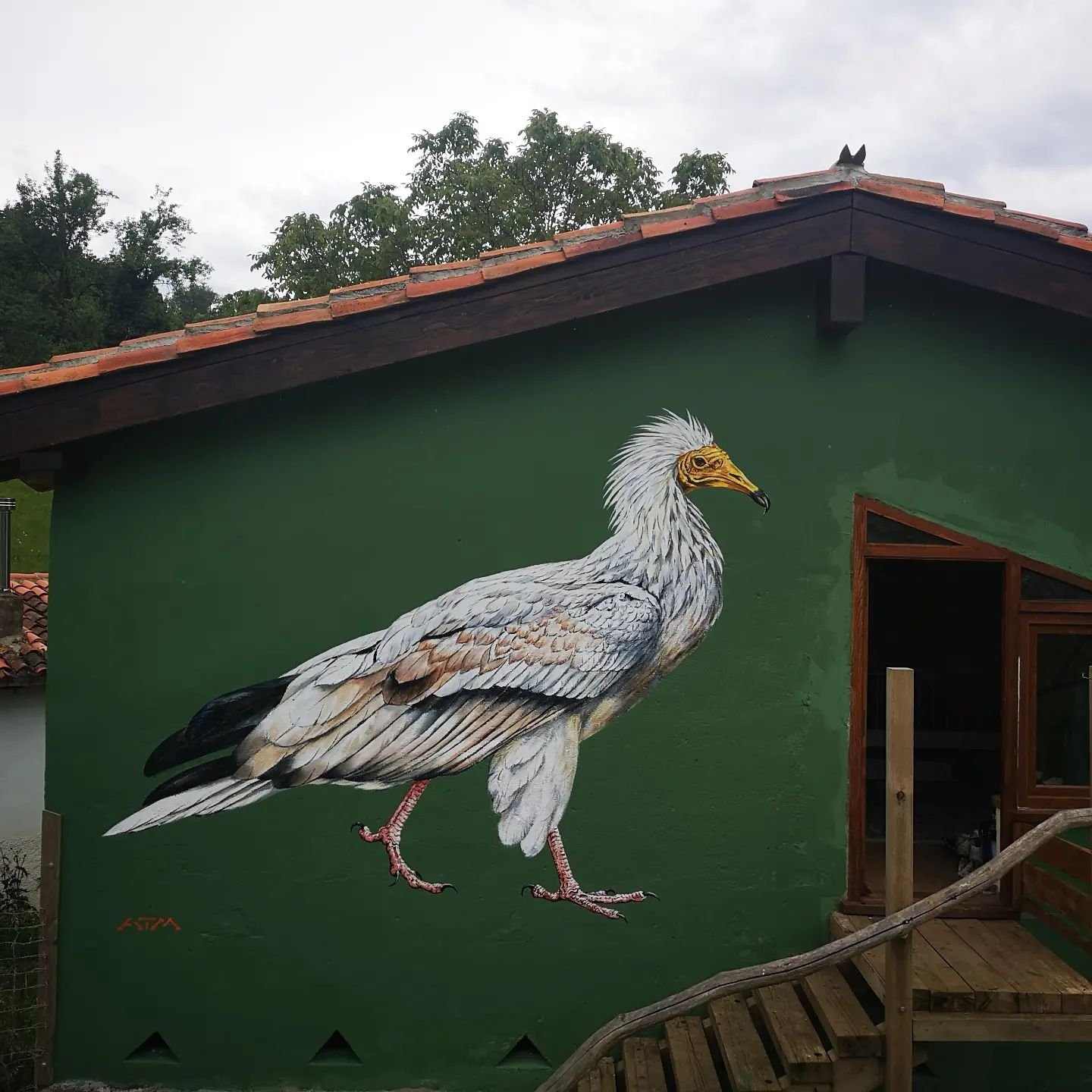 Egyptian Vulture at Wild Finca in Asturias, Spain. I feel so privileged to have been given this opportunity to paint in the very beautiful surroundings of @wildfinca while these magnificent birds soar overhead.

Thank you so much @ksastacey and @lmas