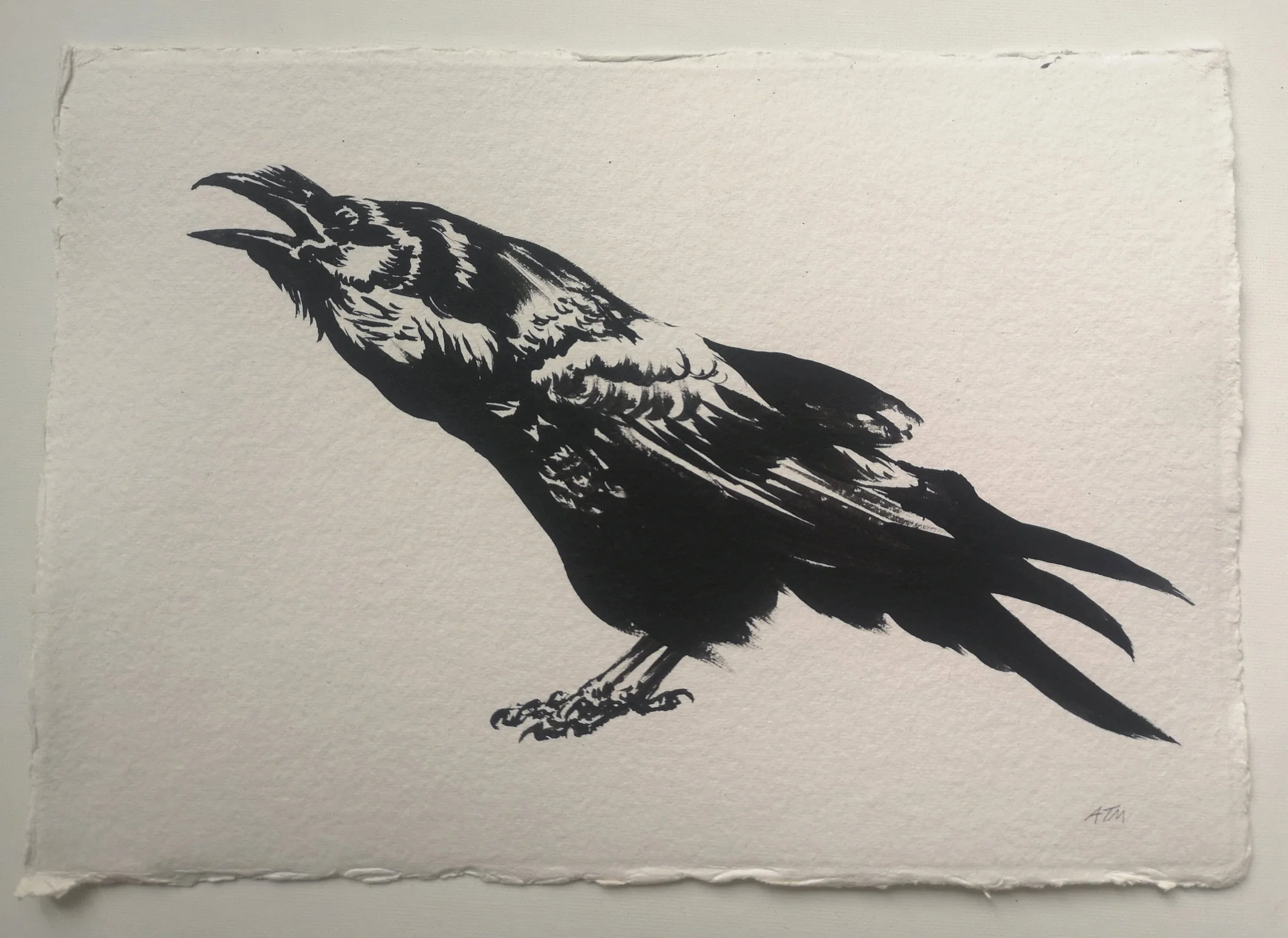 Raven