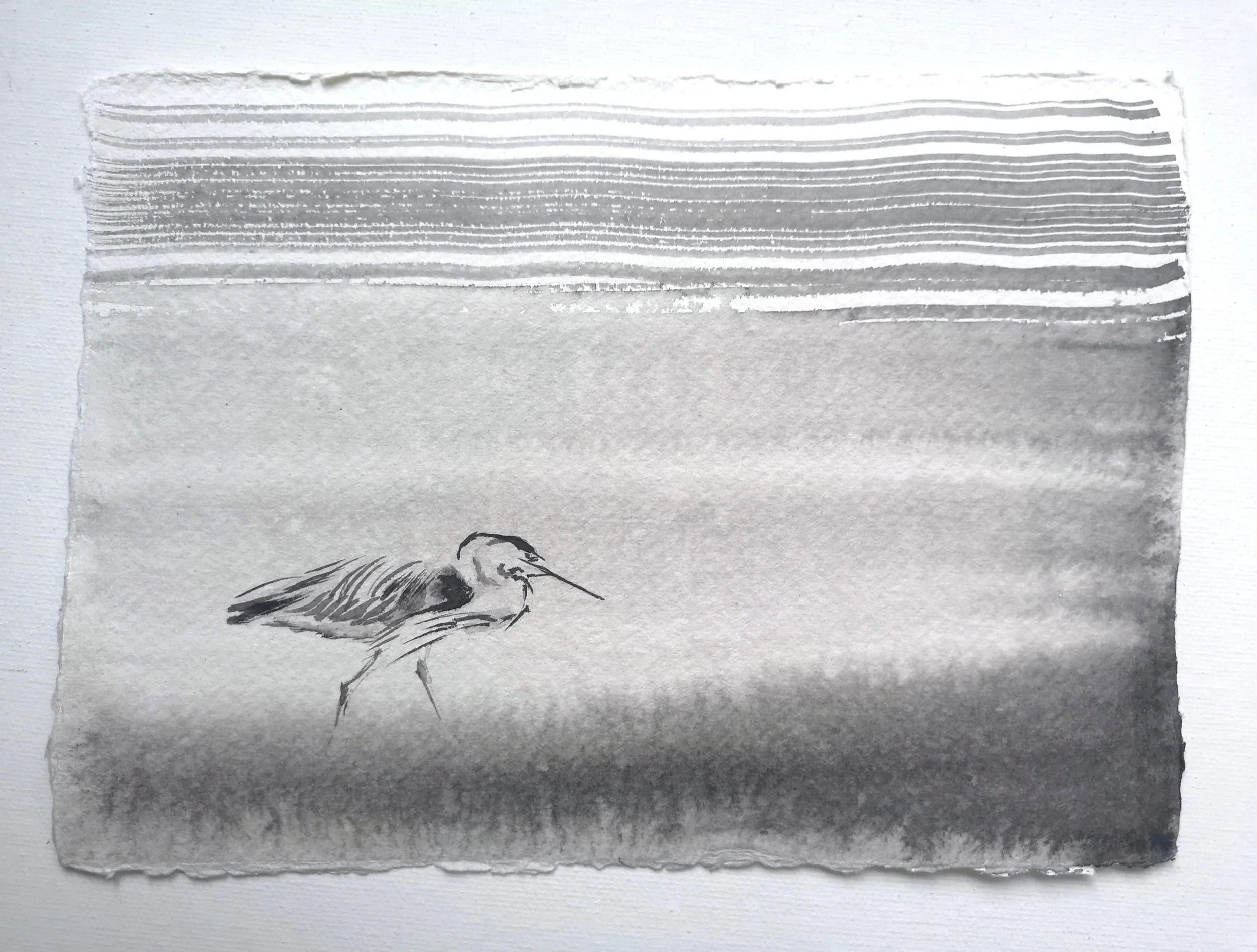 Heron in the marsh