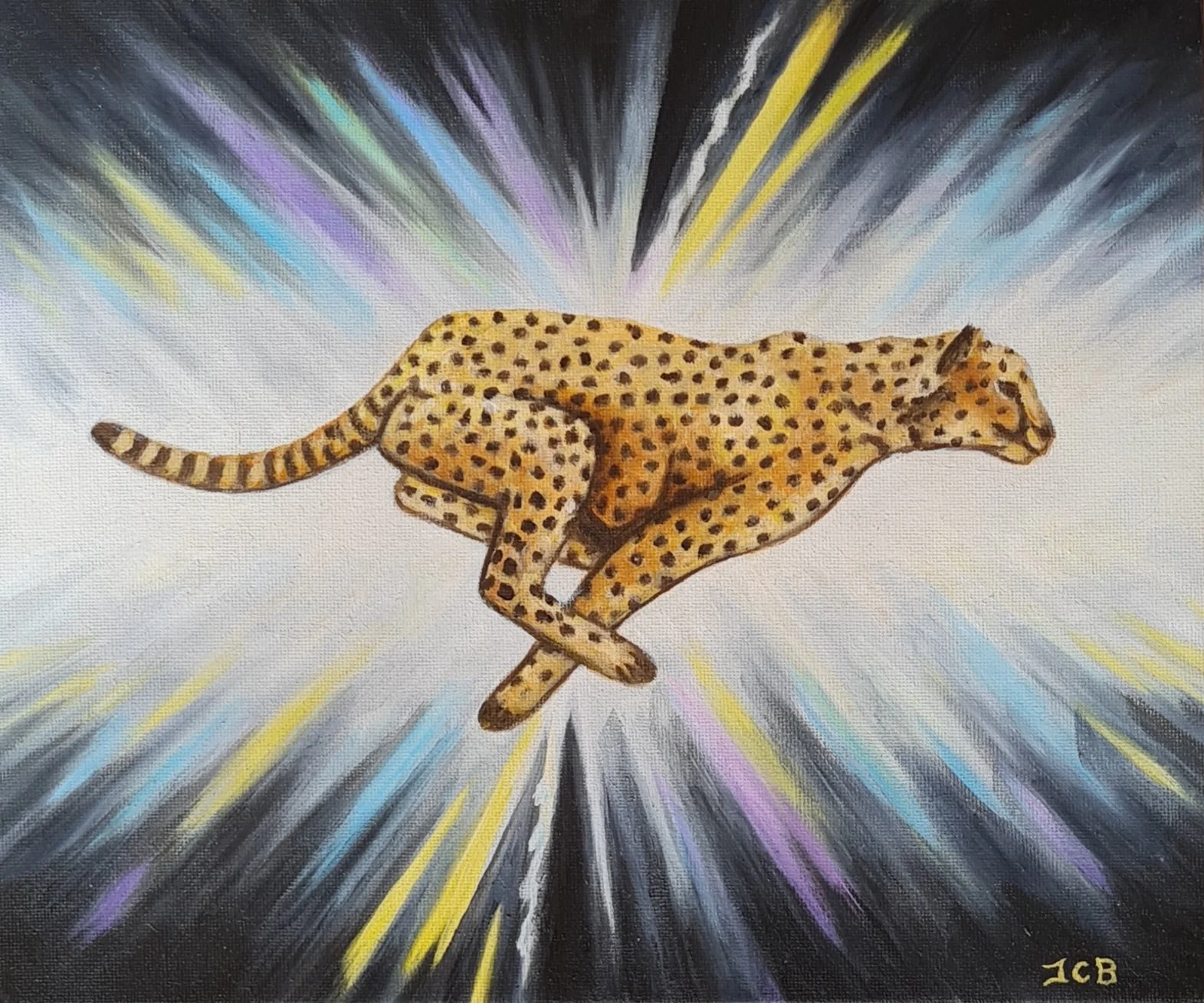 Cheetah 2.  Oils on canvas
