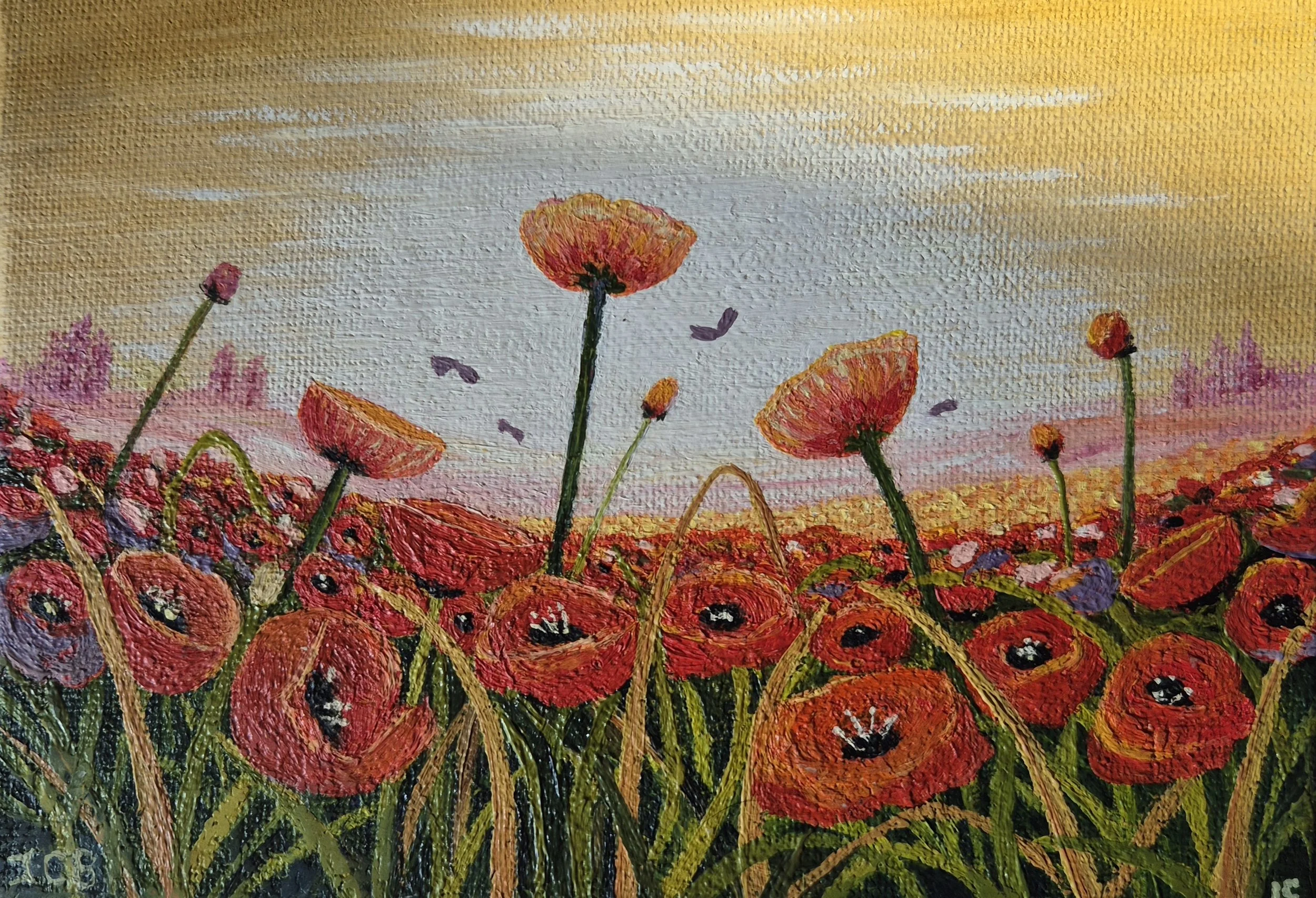 Poppy Field JC Barber.jpg