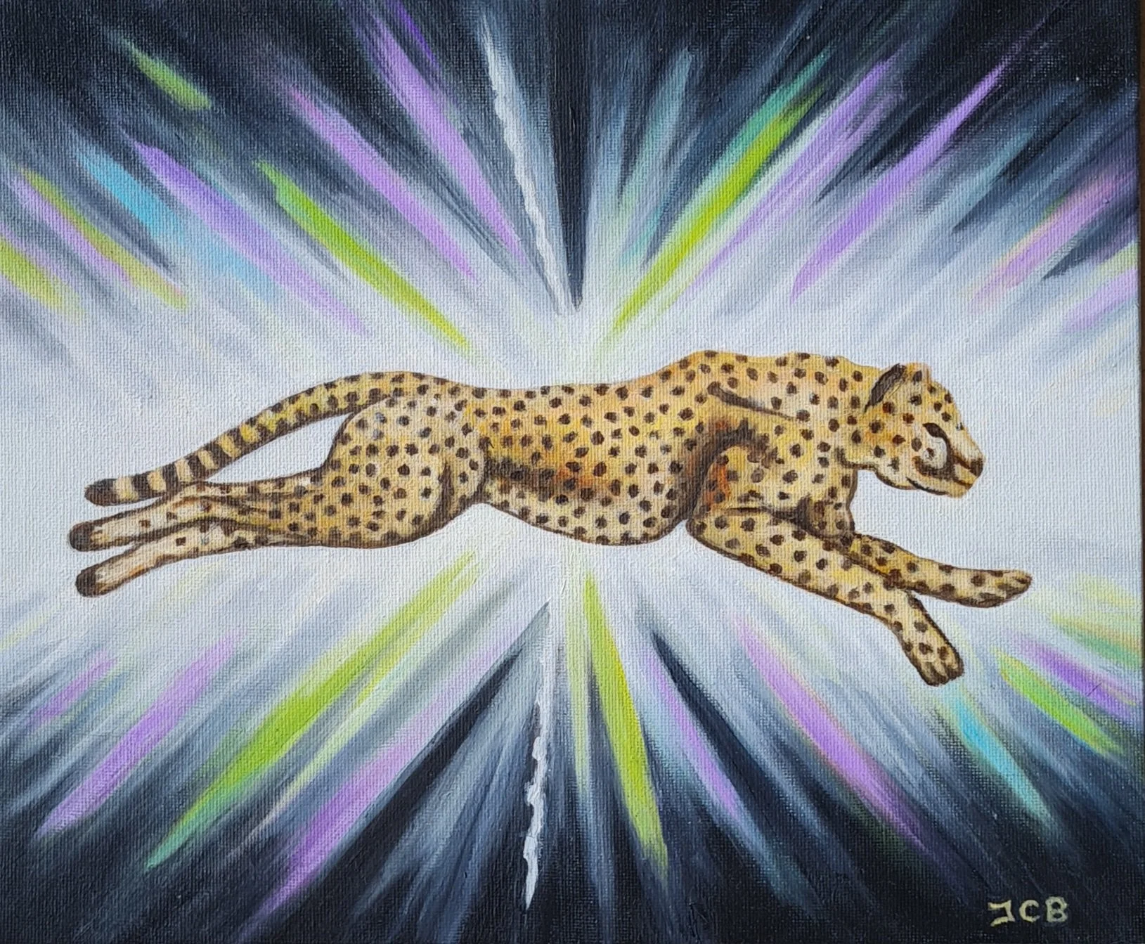 Cheetah 1.  Oil on canvas