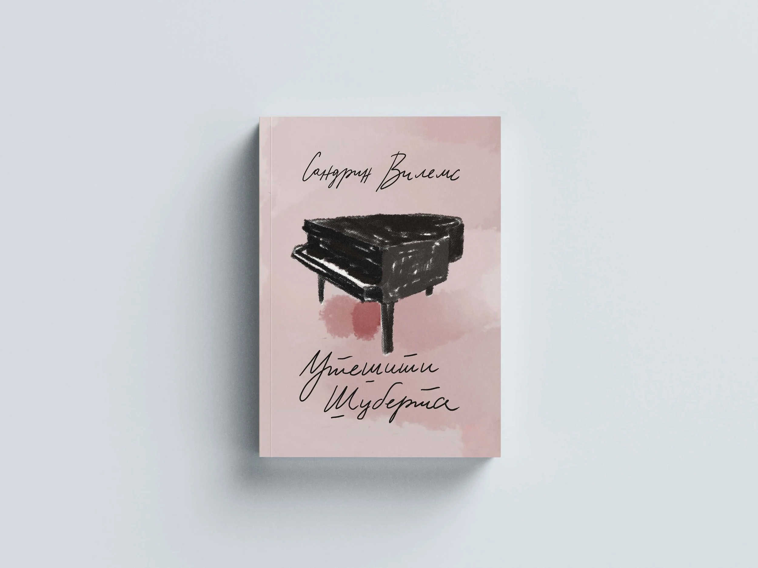 Book Cover for Consoler Schubert