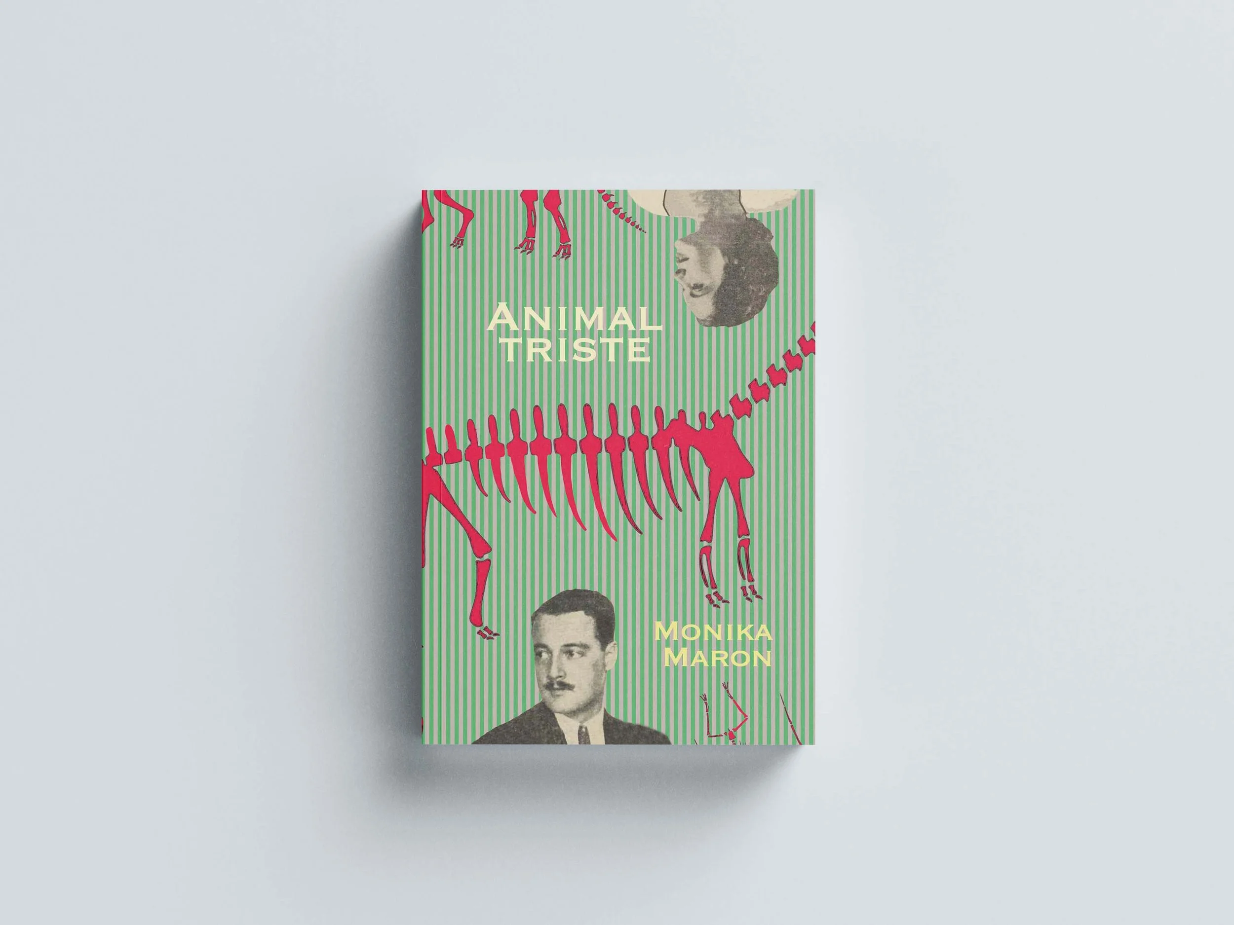 Book Cover for Animal Triste