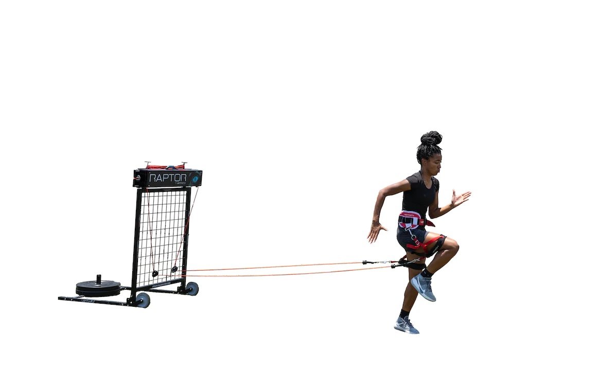Raptor2.png.jpeg