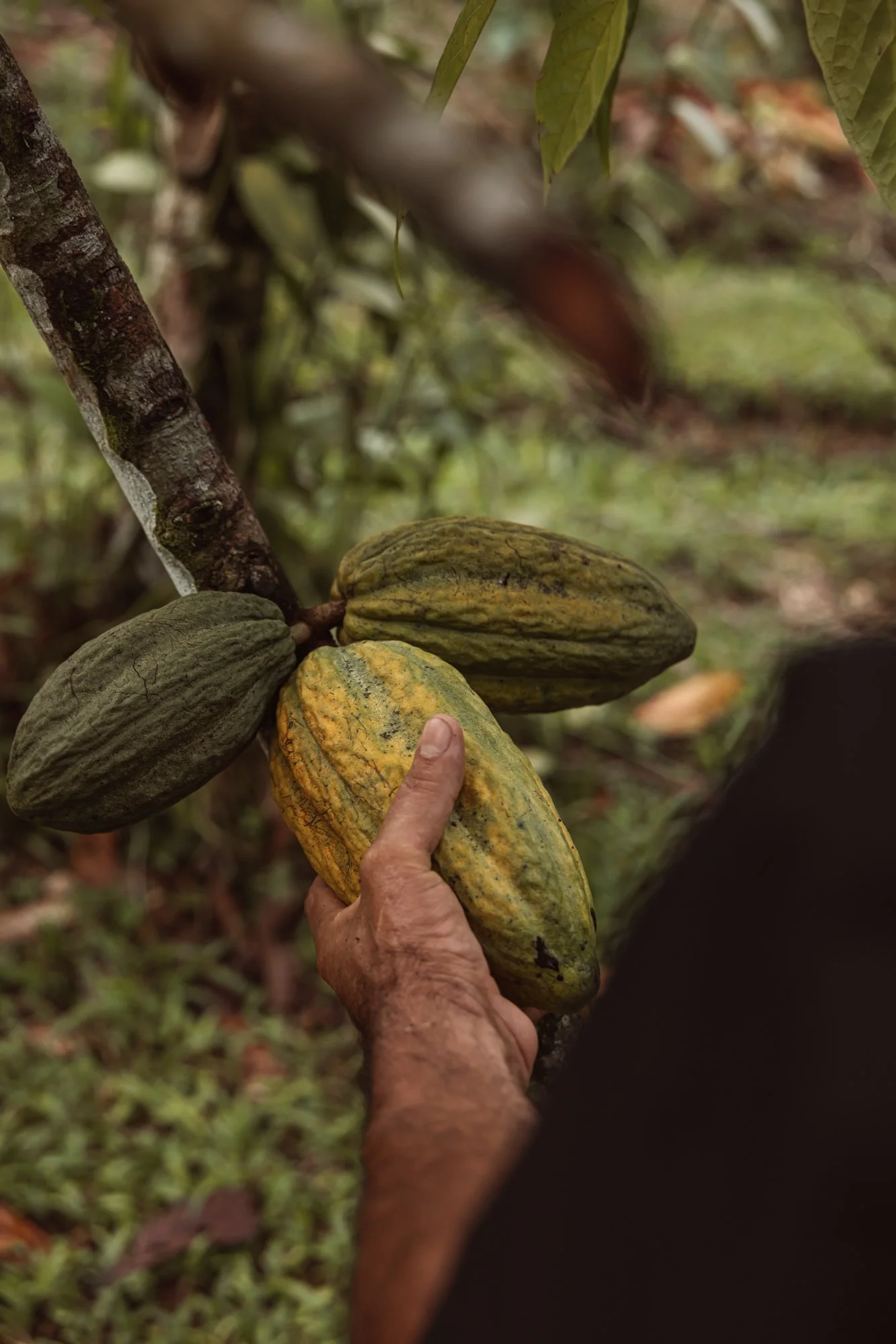 6C9A0052web_1.jpg