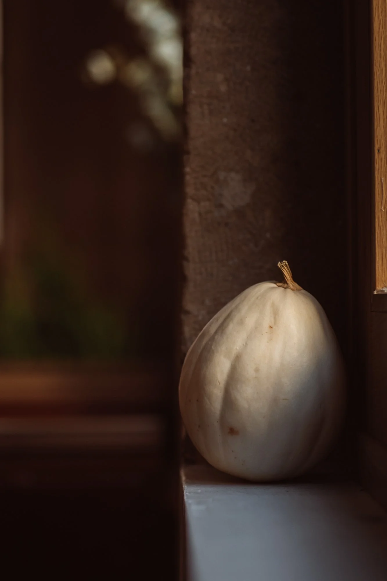 MARL0055web.jpg