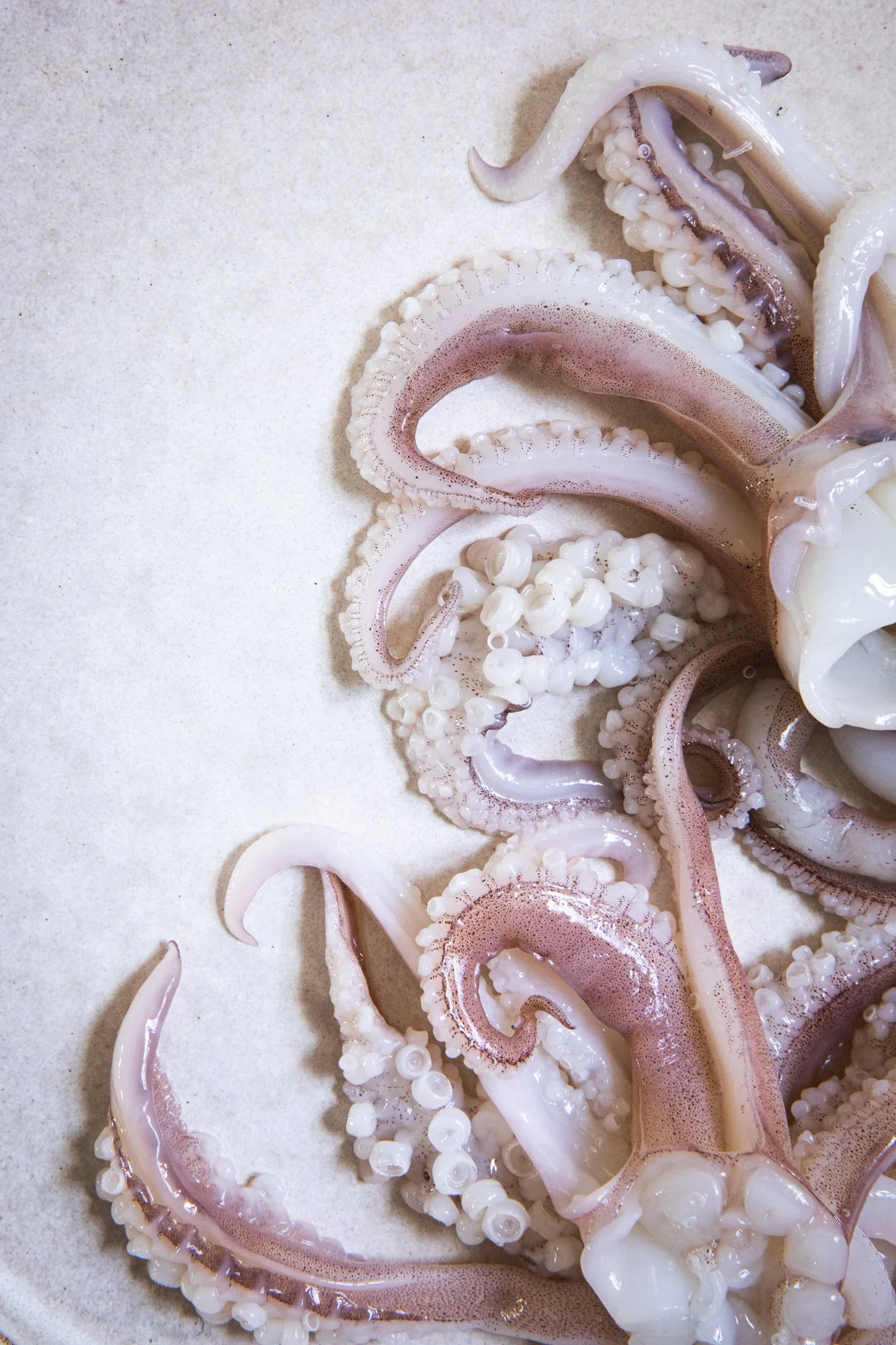 Ceviche van inktvis 2web.jpg