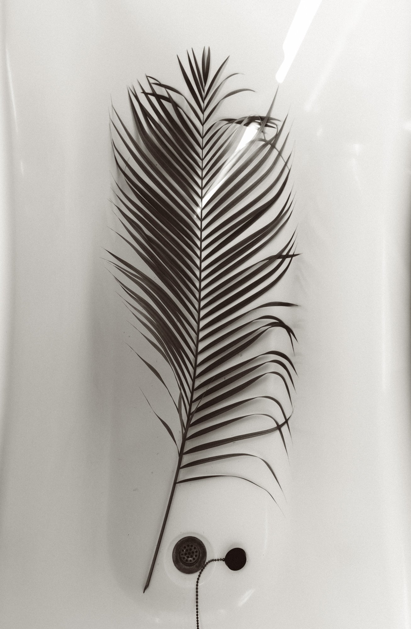 SOHL0272web.jpg