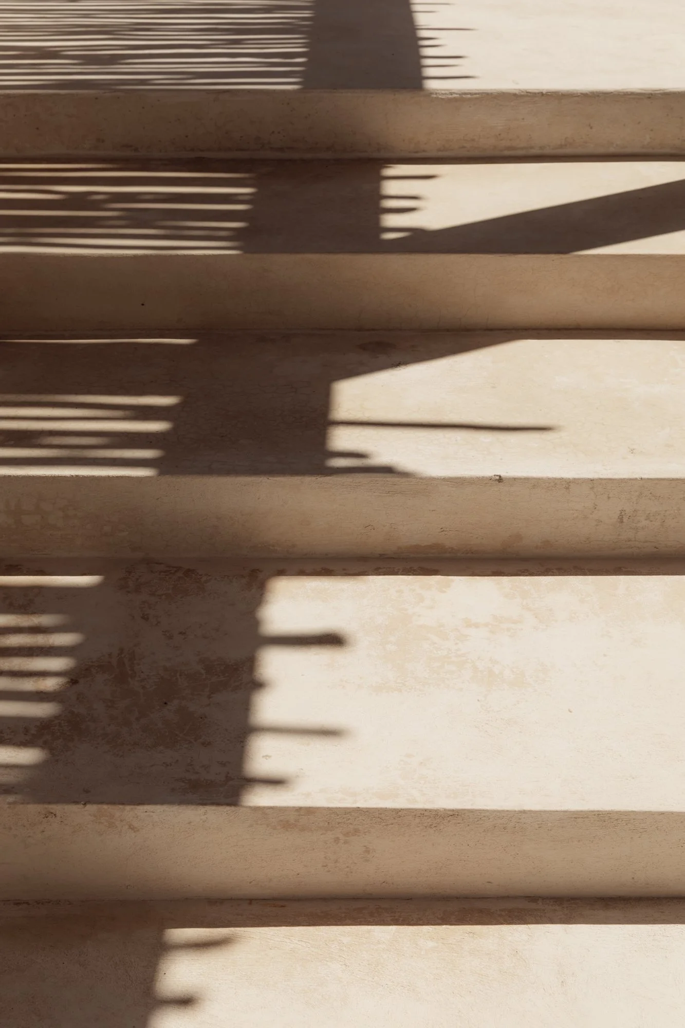 SOHL0508web.jpg