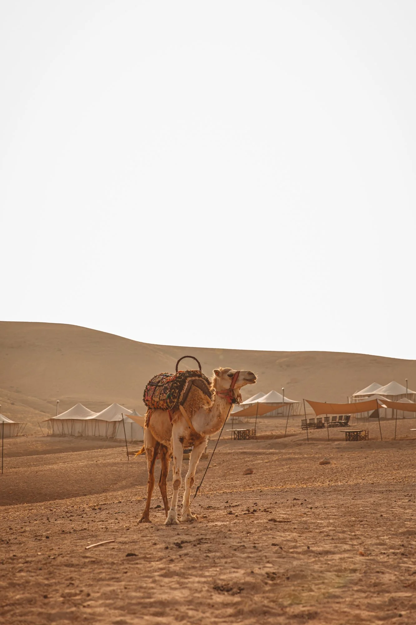 Scarabeo Camp, Agafay Desert, Morocca Photography by Sophia van den Hoek, Studio Unfolded