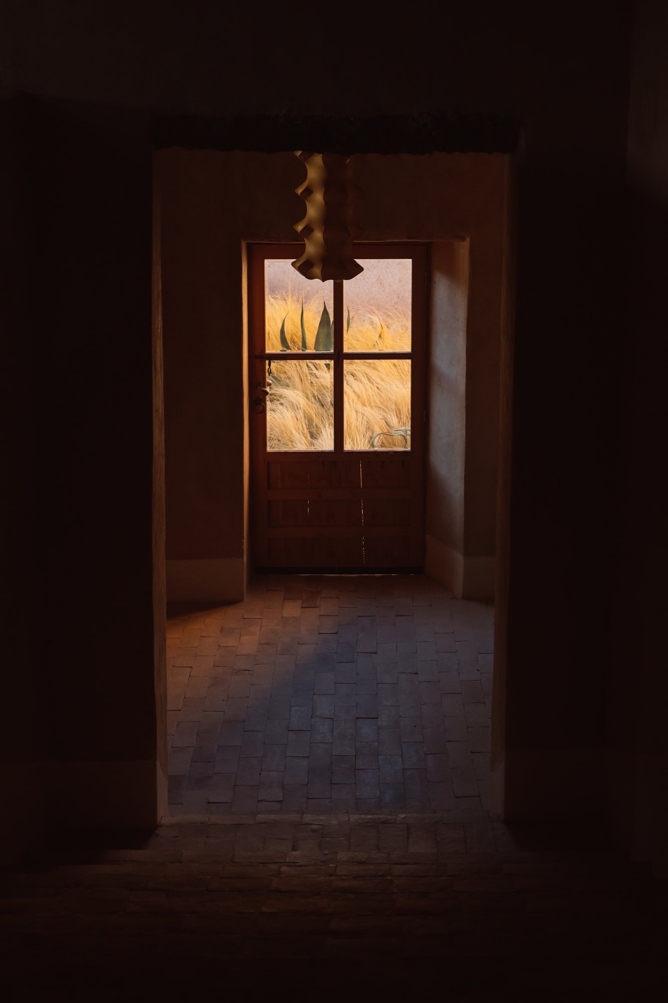 SOPH7096web.jpg