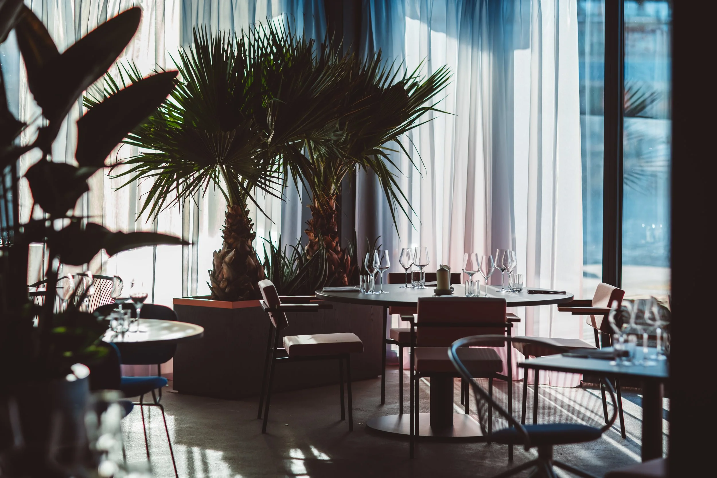 Interior of a restaurant with large potted palm plants, round tables set with glasses and candles, and floor-to-ceiling curtains letting in natural light. Restaurant Putaine, Rotterdam, The Netherlands
