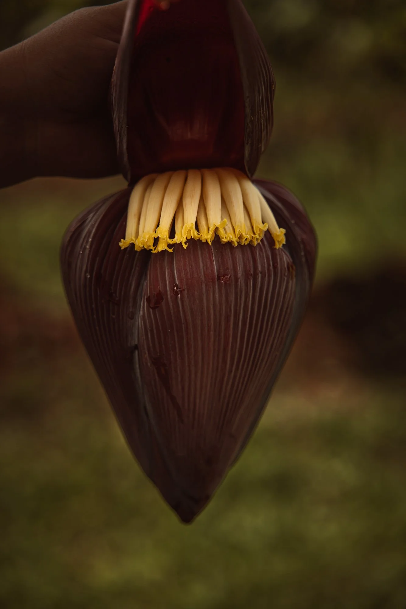 6C9A0244web_1.jpg