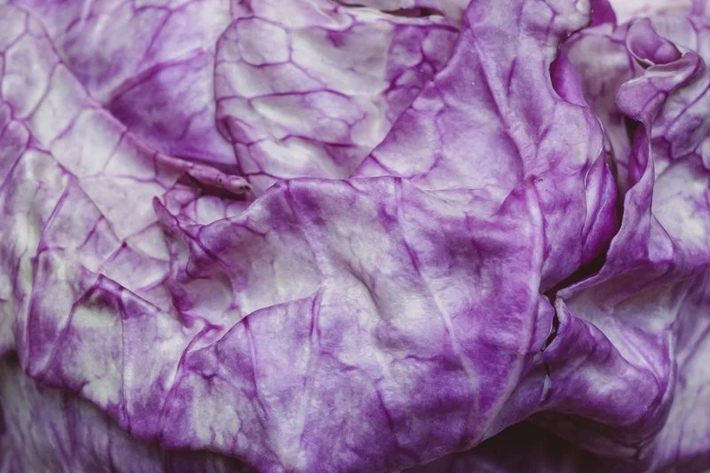 Food photography at restaurant Renilde by Sophia van den Hoek, Studio Unfolded 