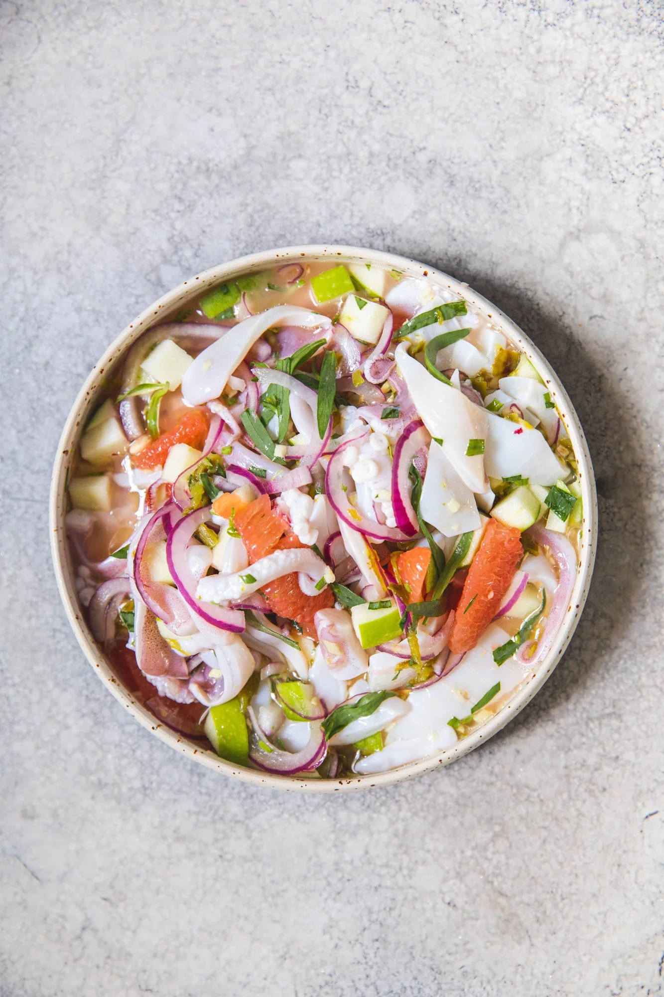 Ceviche van inktvis 1web.jpg