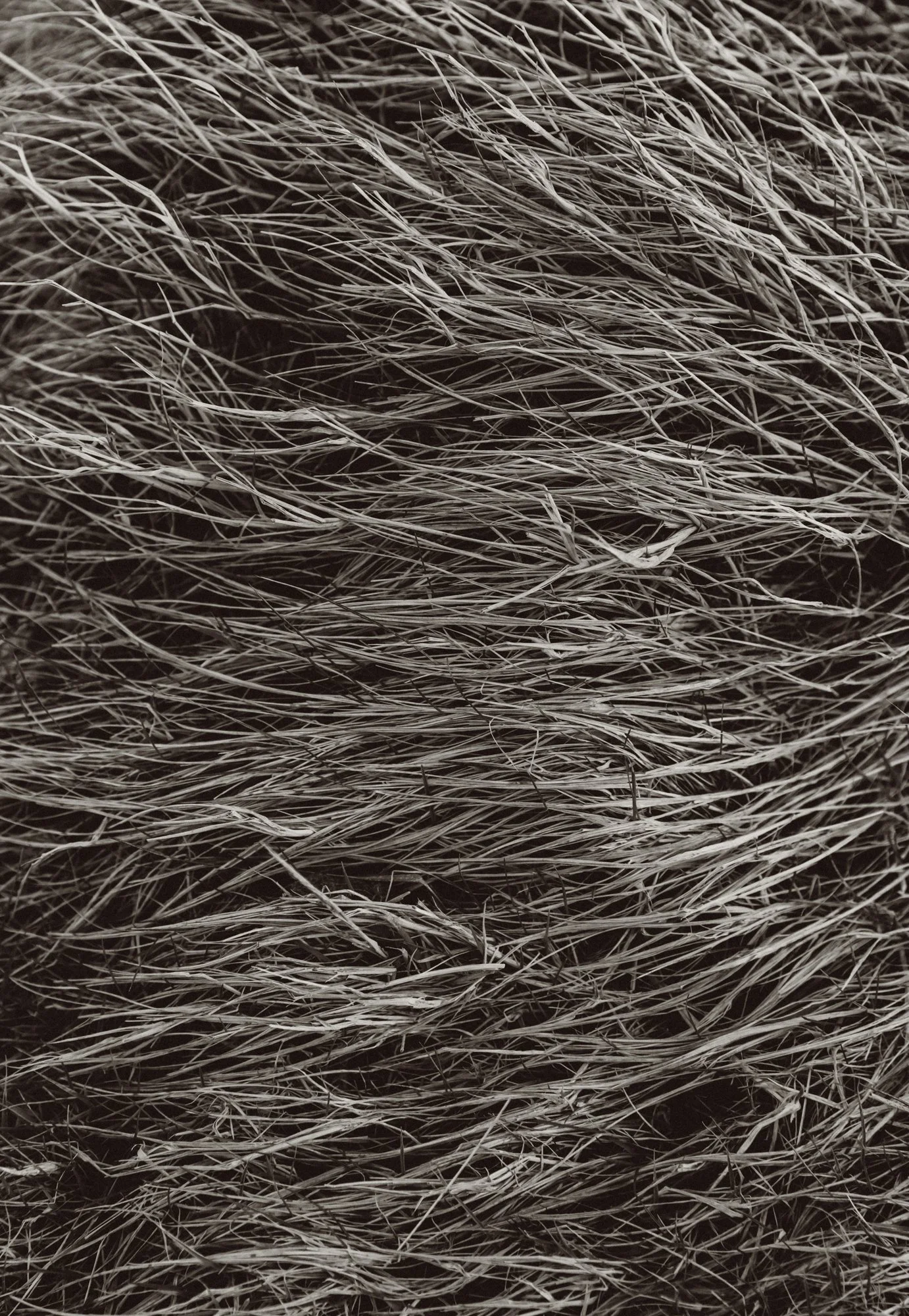 4K7A6308web.jpg