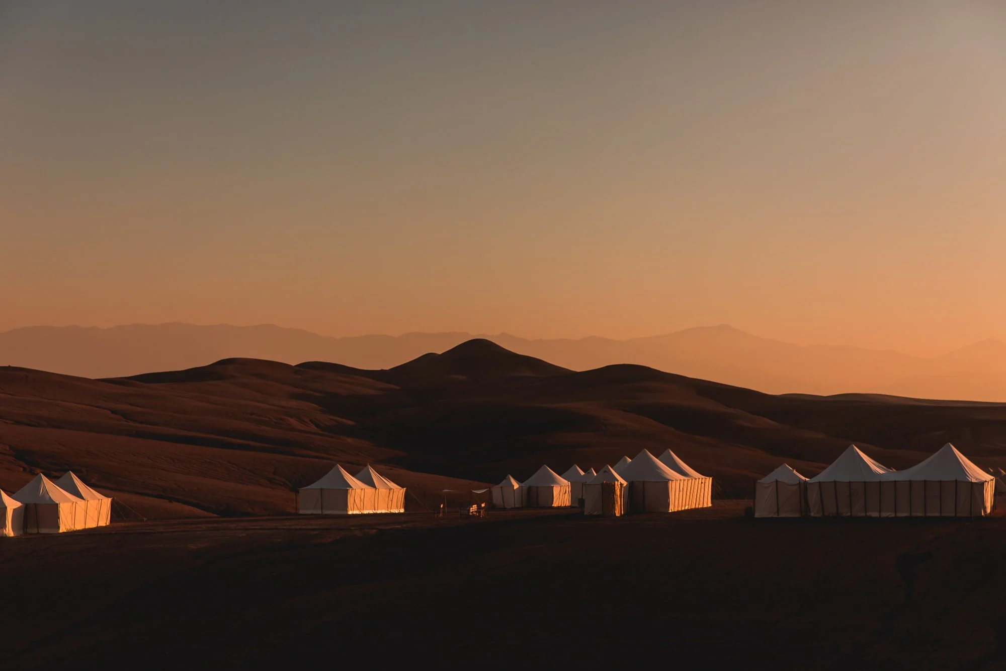 Photography by Sophia van den Hoek