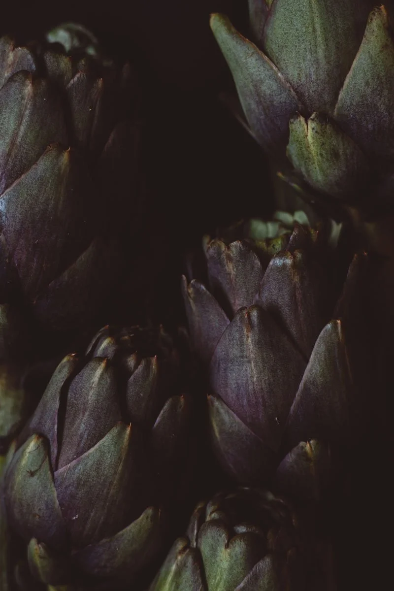 Close-up of overlapping artschokes with dark and muted tones. Restaurant Putaine, Rotterdam, The Netherlands