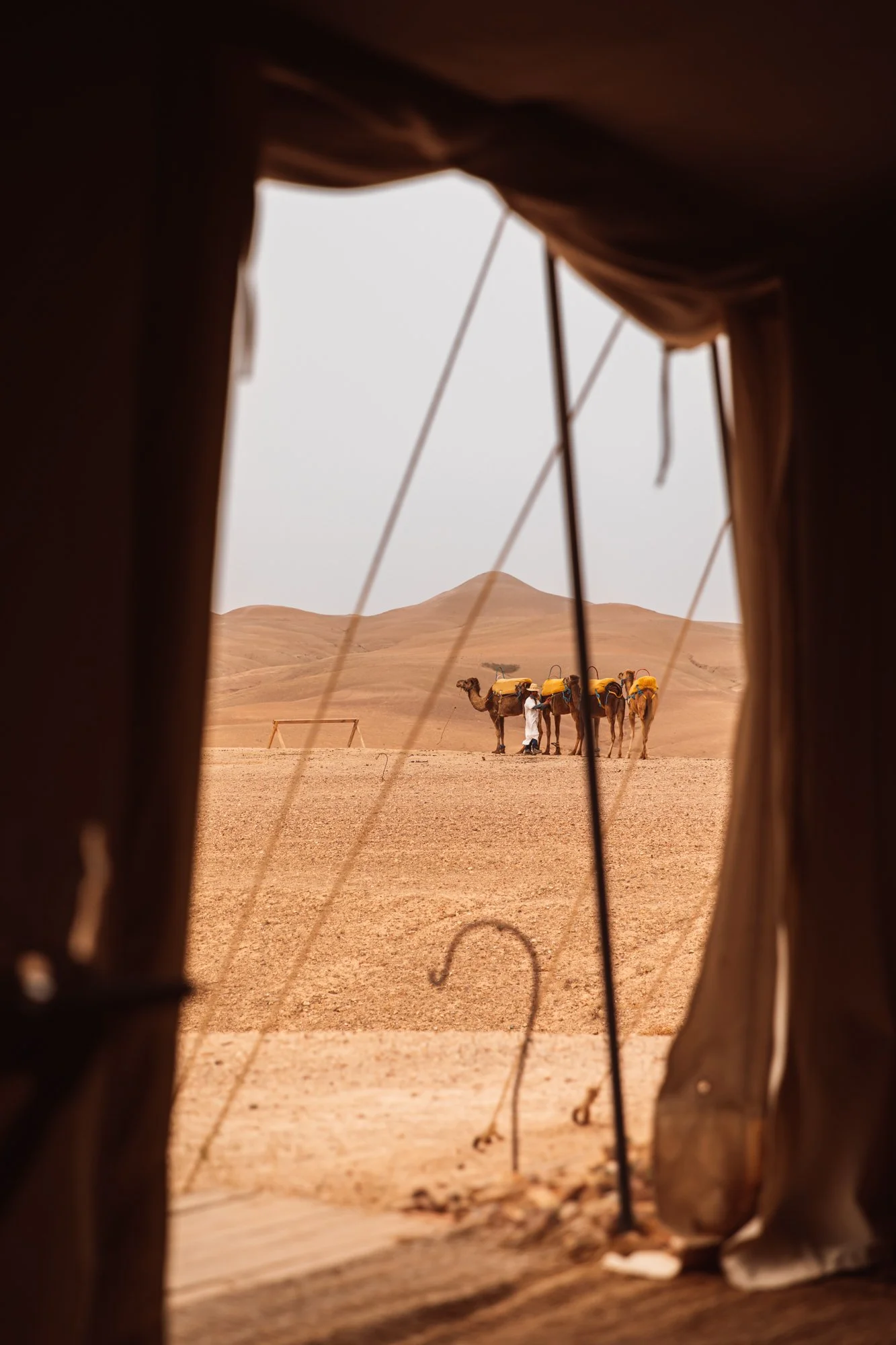 Photography by Sophia van den Hoek