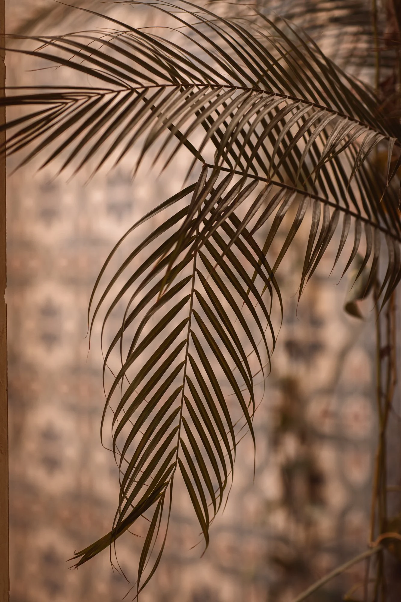 UNFO0326web.jpg