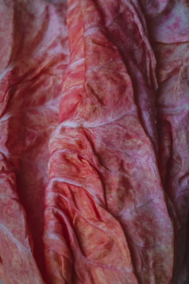 Food photography at restaurant Renilde by Sophia van den Hoek, Studio Unfolded 