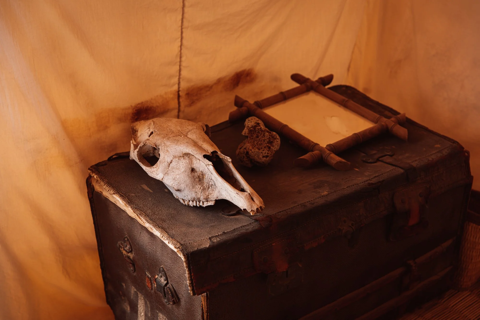 Photography by Sophia van den Hoek