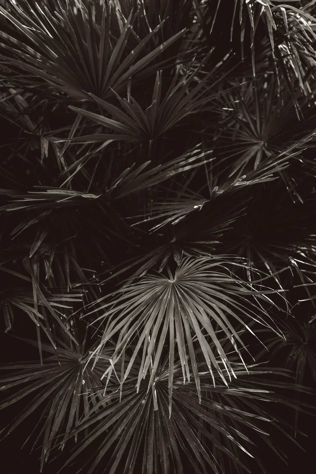 UNFO7506web.jpg
