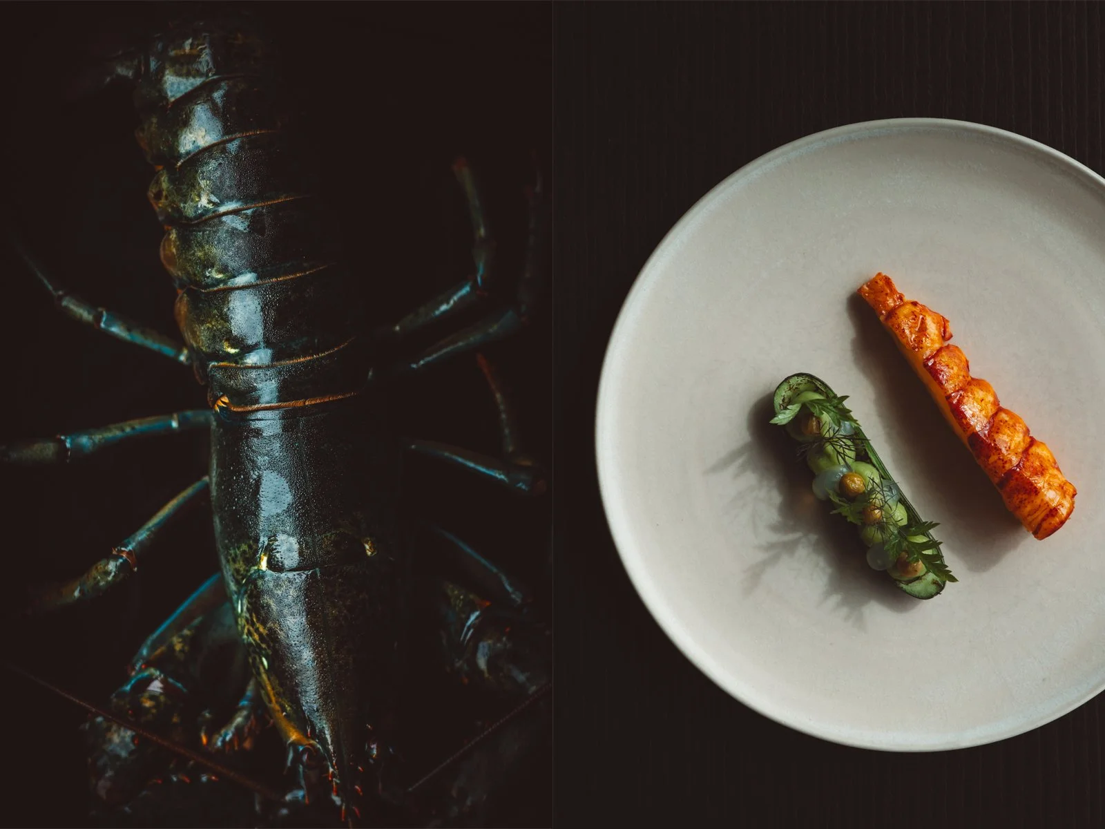 A close-up of a black lobster on the left side of the image, and a white plate with grilled shrimp and a small bunch of green herbs on the right side of the image. Restaurant Putaine, Rotterdam, The Netherlands Photography Sophia van den Hoek