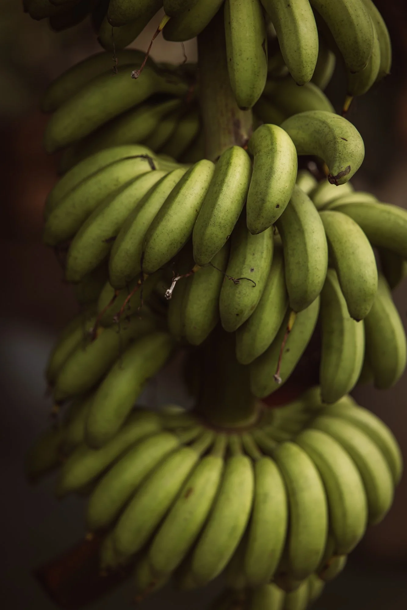 6C9A0284web_1.jpg