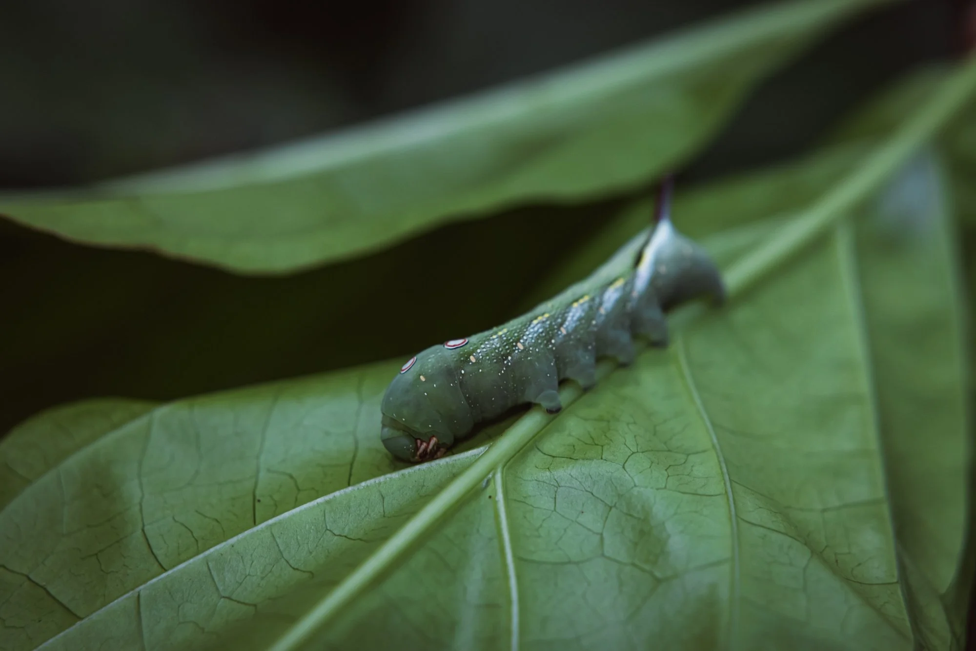 6C9A0545web.jpg