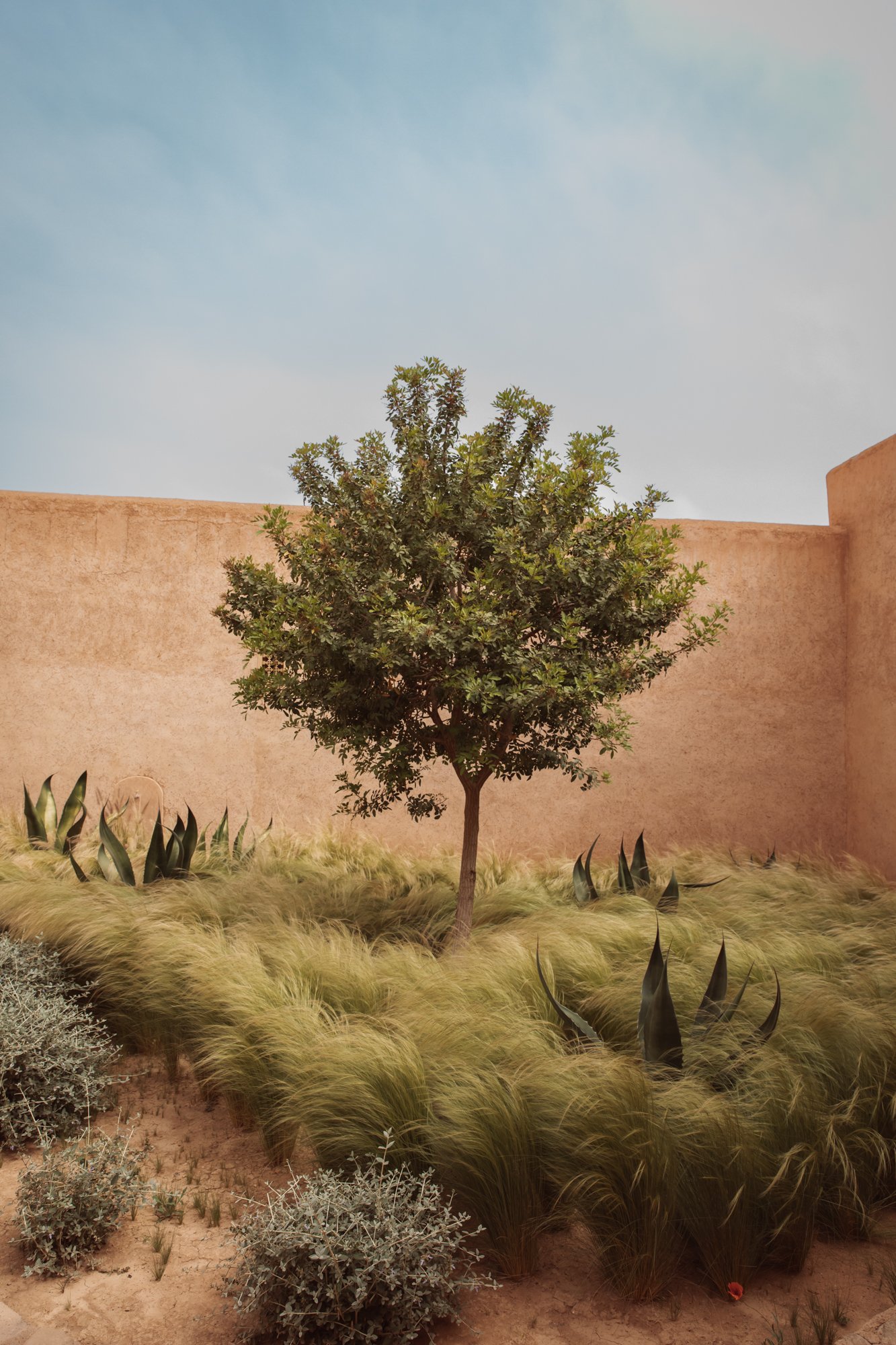  Morocco photography by Sophia van den Hoek