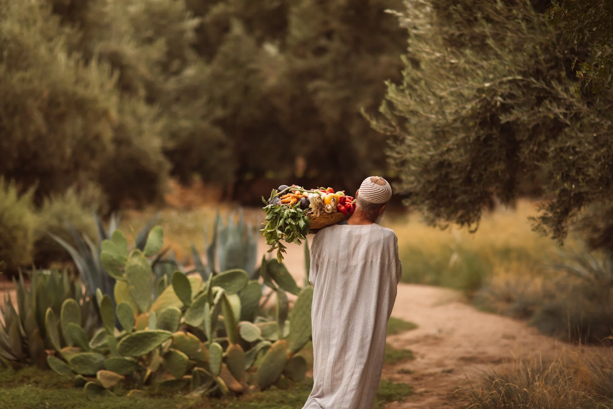 Berber Lodge, Marrakech. Hotel photography by Sophia van den Hoek, Studio Unfolded