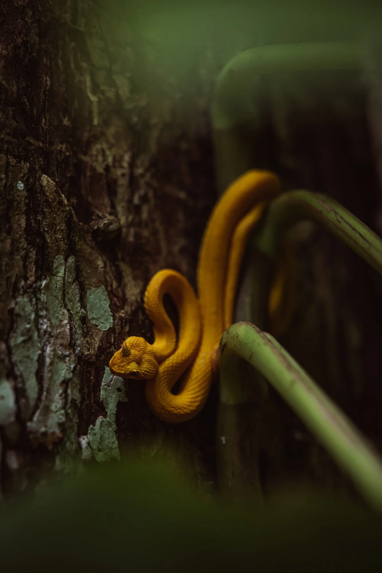 6C9A0536web_1.jpg