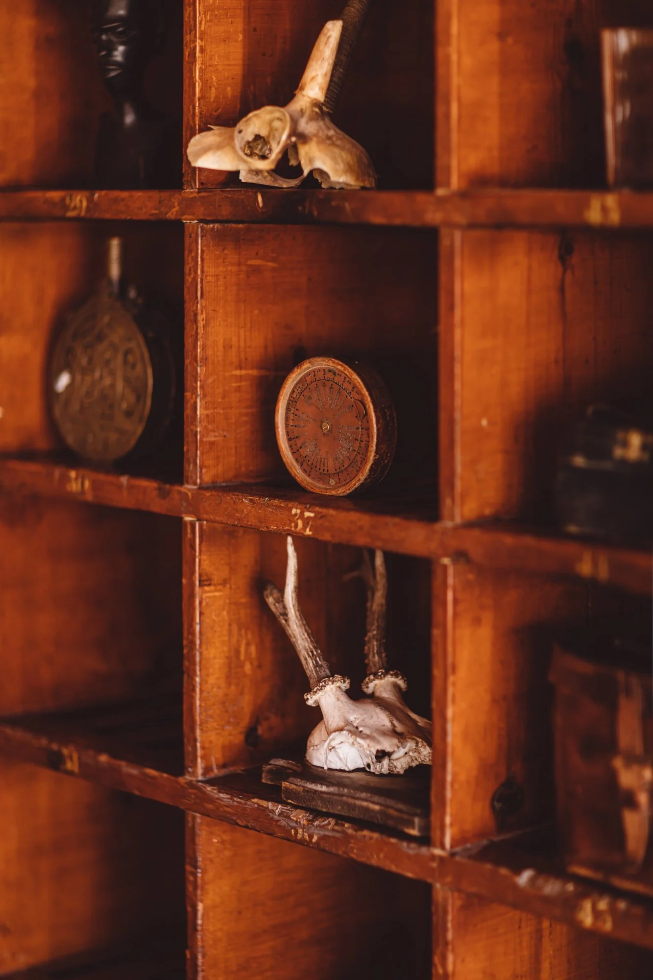 Photography by Sophia van den Hoek