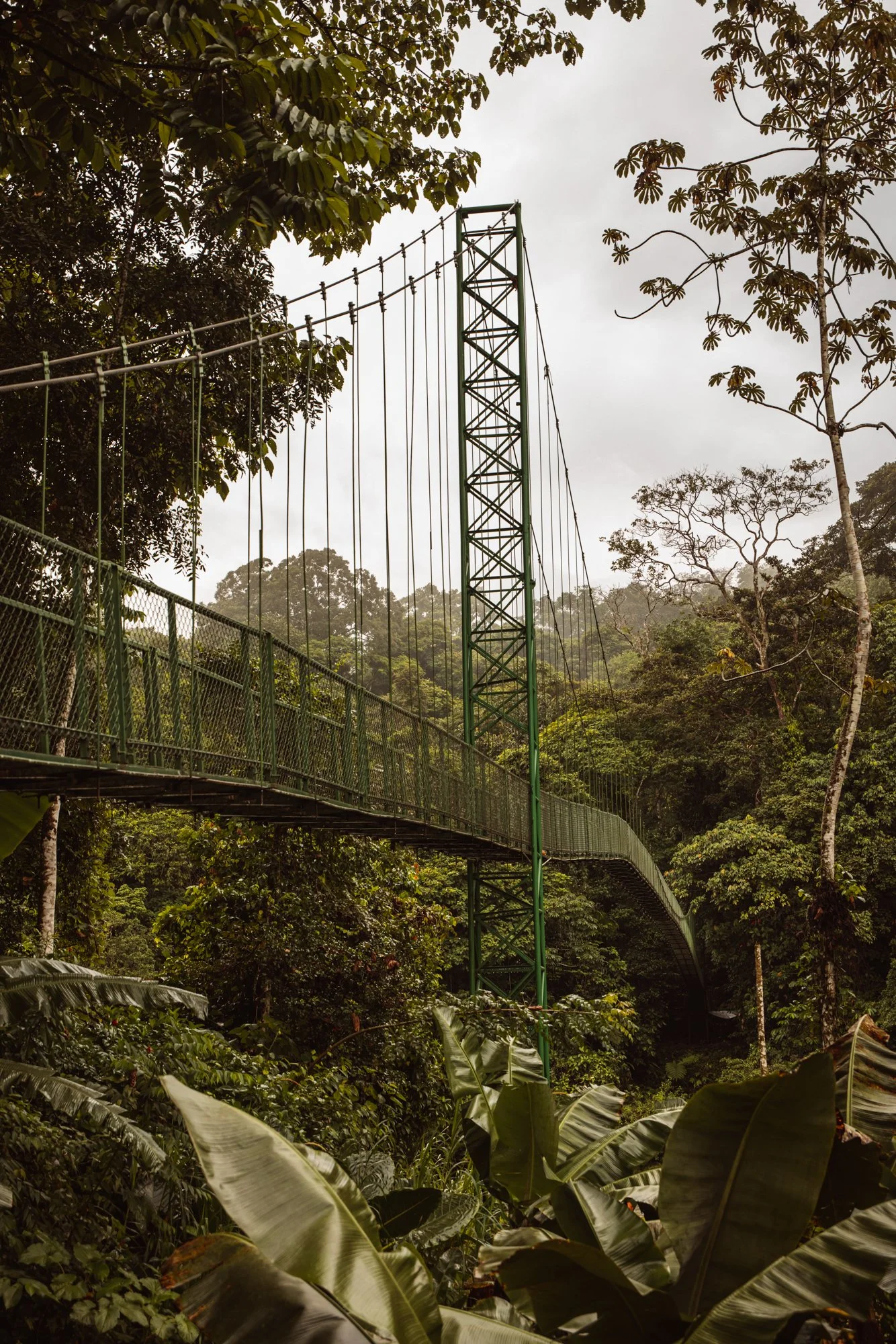 6C9A0474web_1.jpg