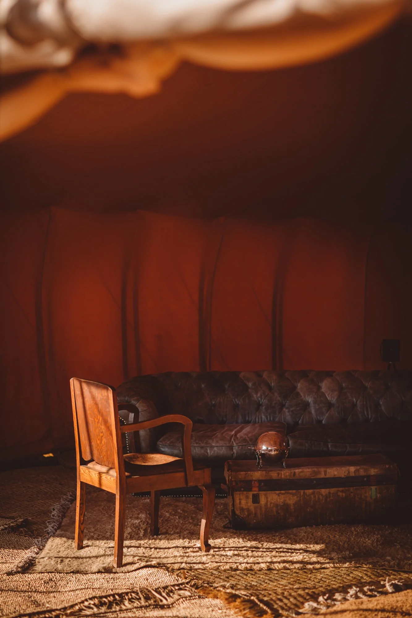Photography by Sophia van den Hoek