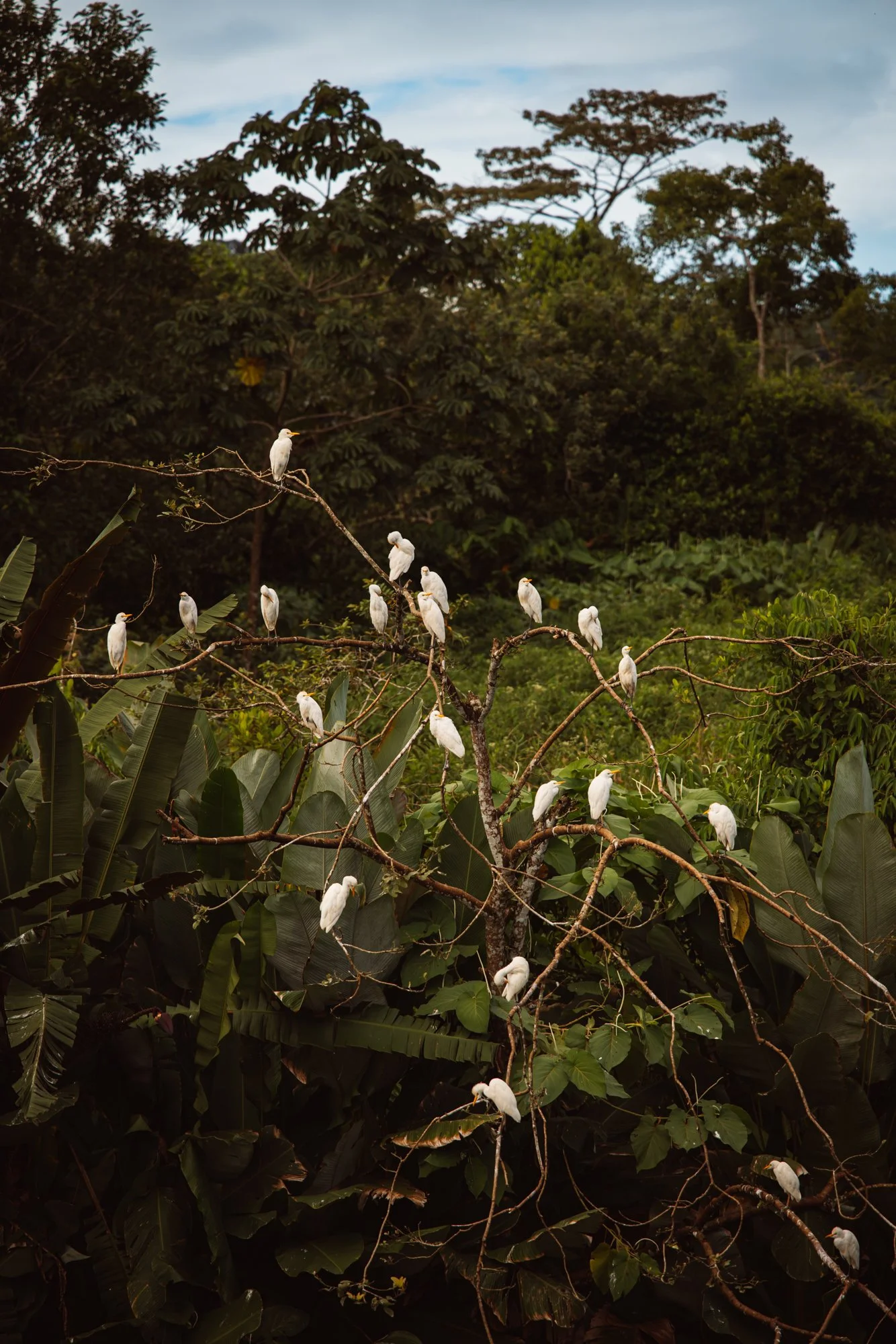 6C9A0224web_1.jpg