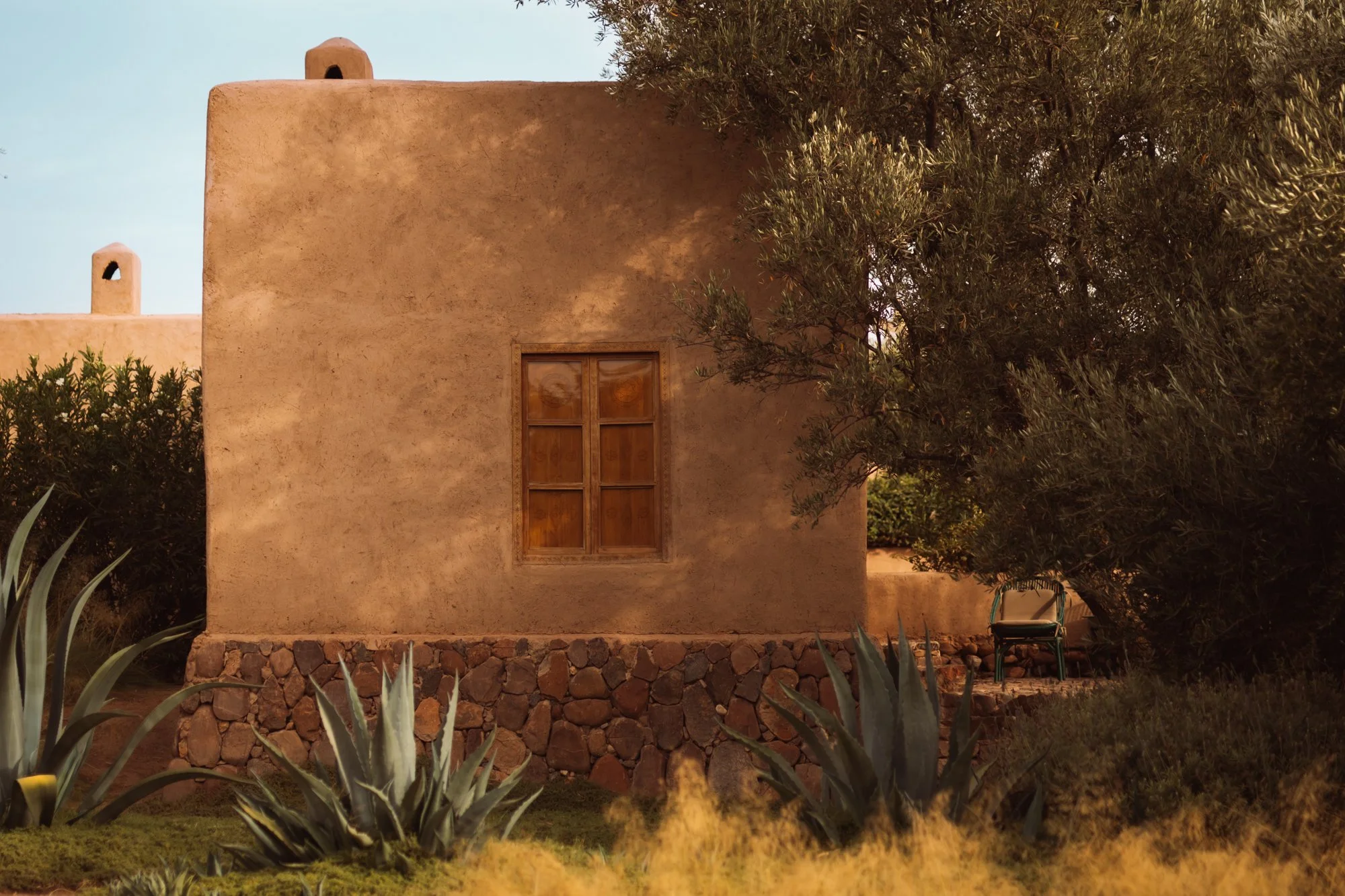 The garden of Berber Lodge with Olive trees and aloe vera photography Studio Unfolded