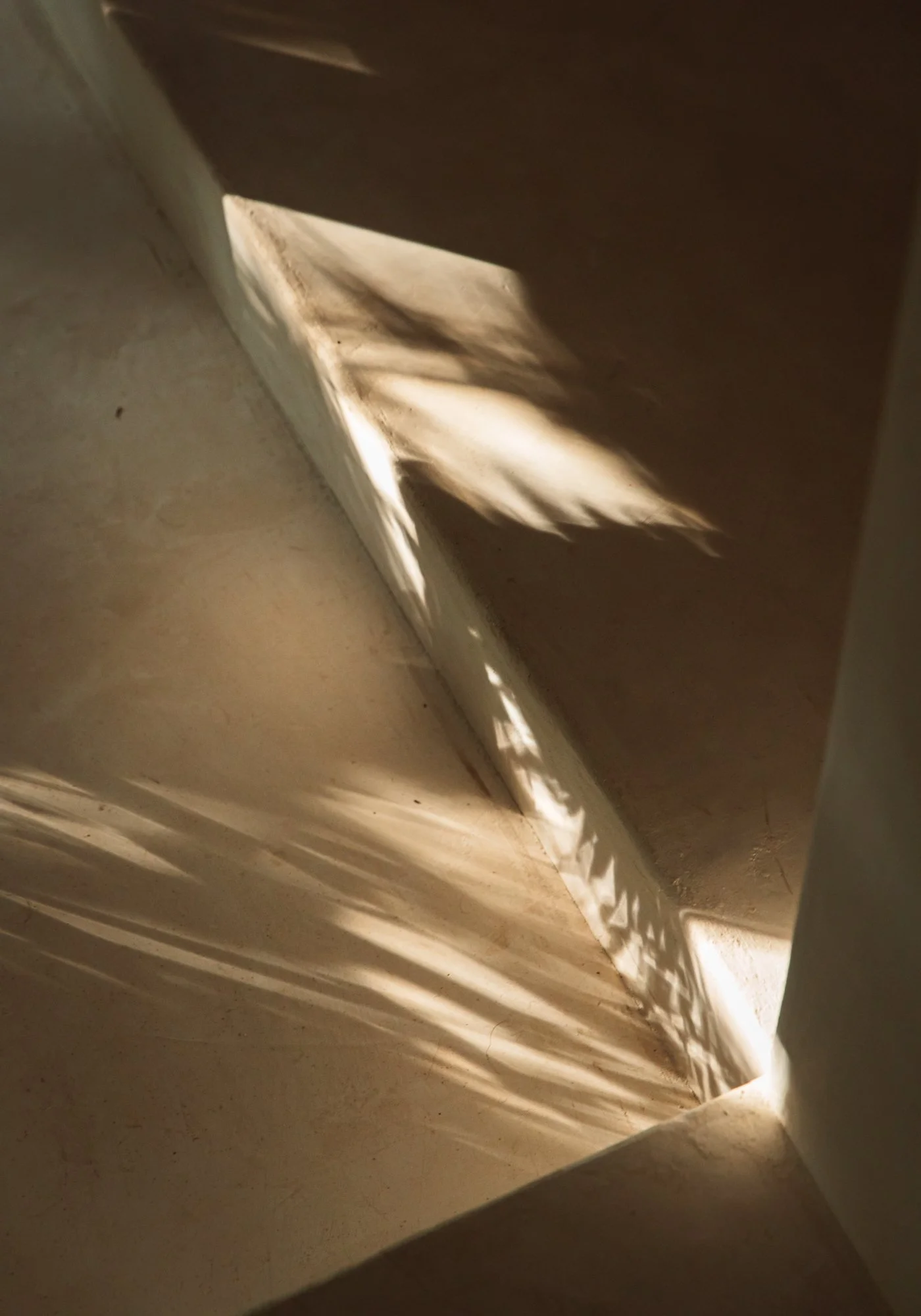 SOHL0947web.jpg