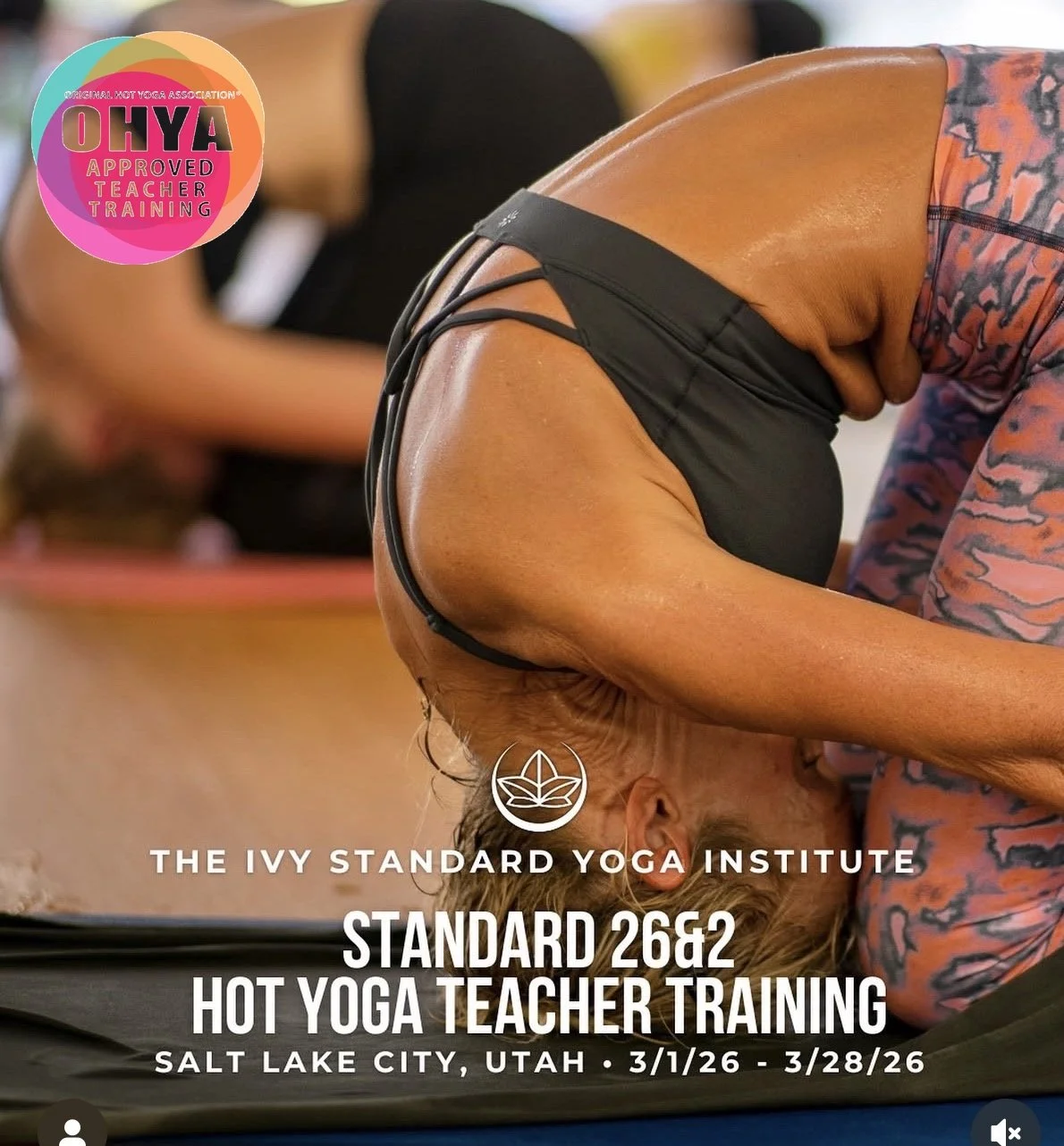 Ivy Standard Yoga OHY Teacher Training